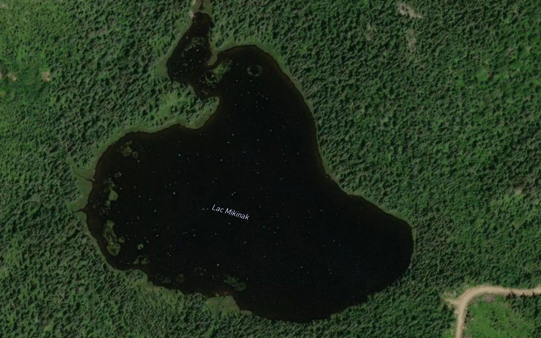Satellite map of the Lac Mikinak