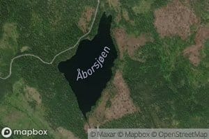 Aborsjoen