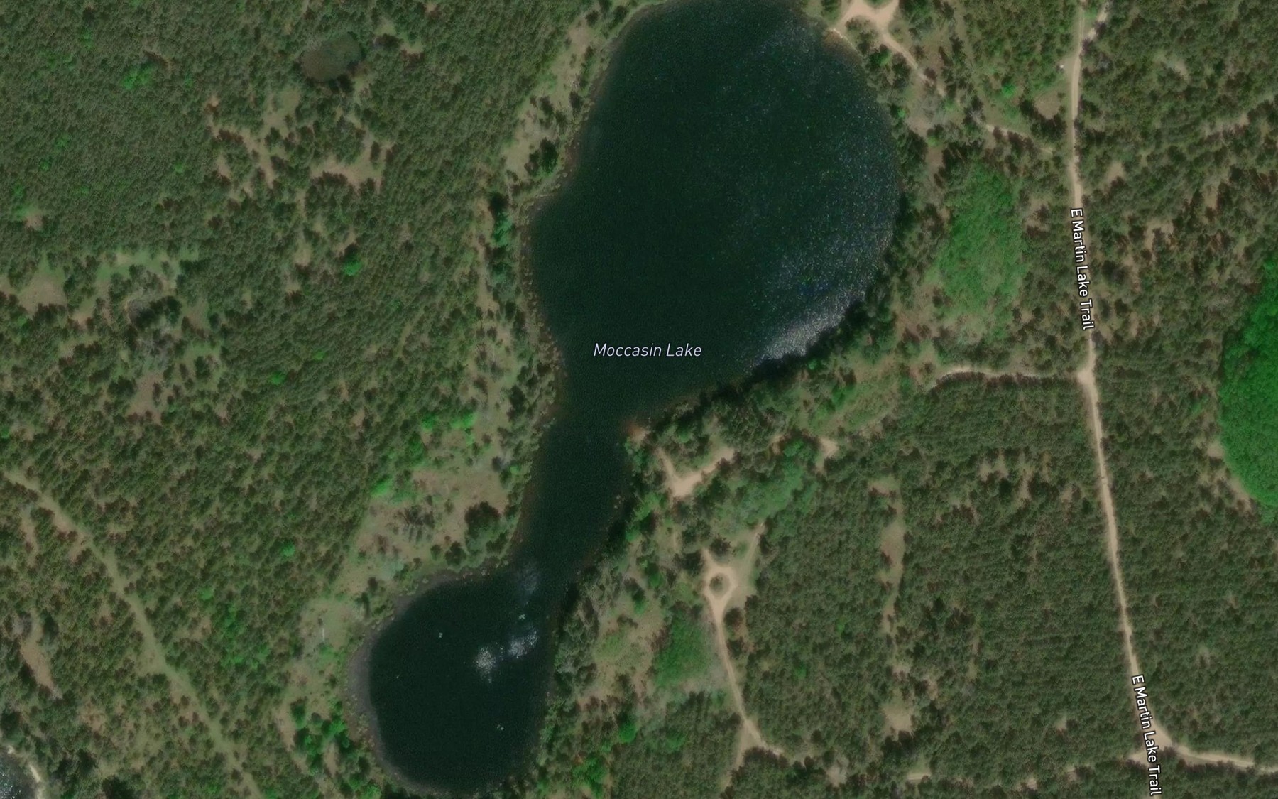 Satellite map of the Moccasin Lake