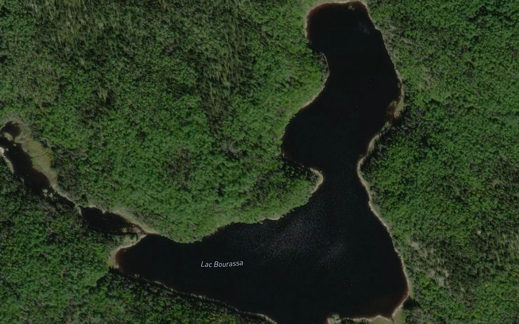 Satellite map of the Lac Bourassa