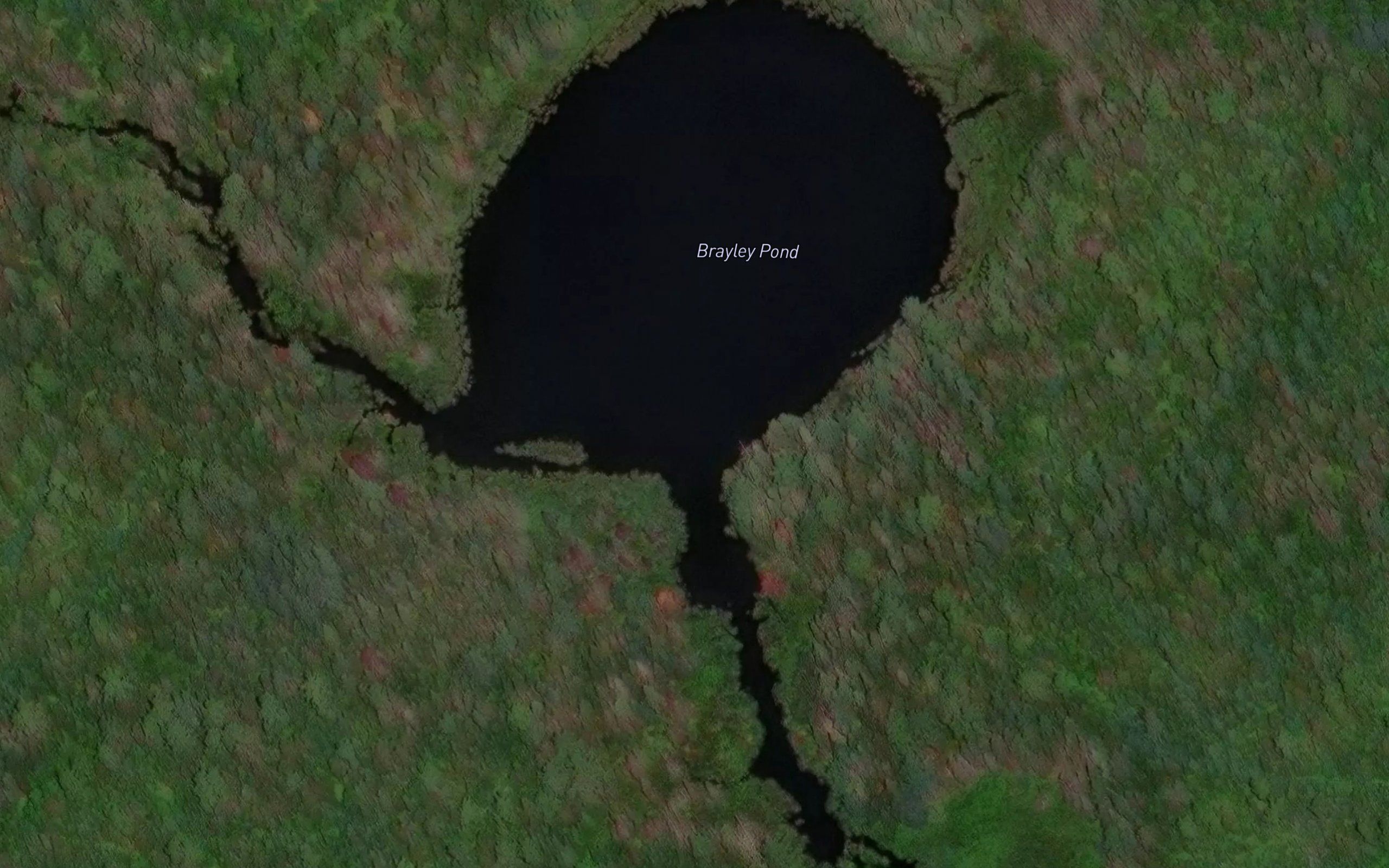 Brayley Pond
