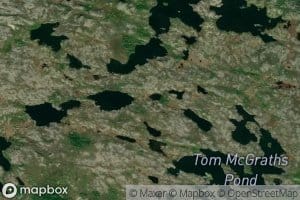 Wild Cove Pond