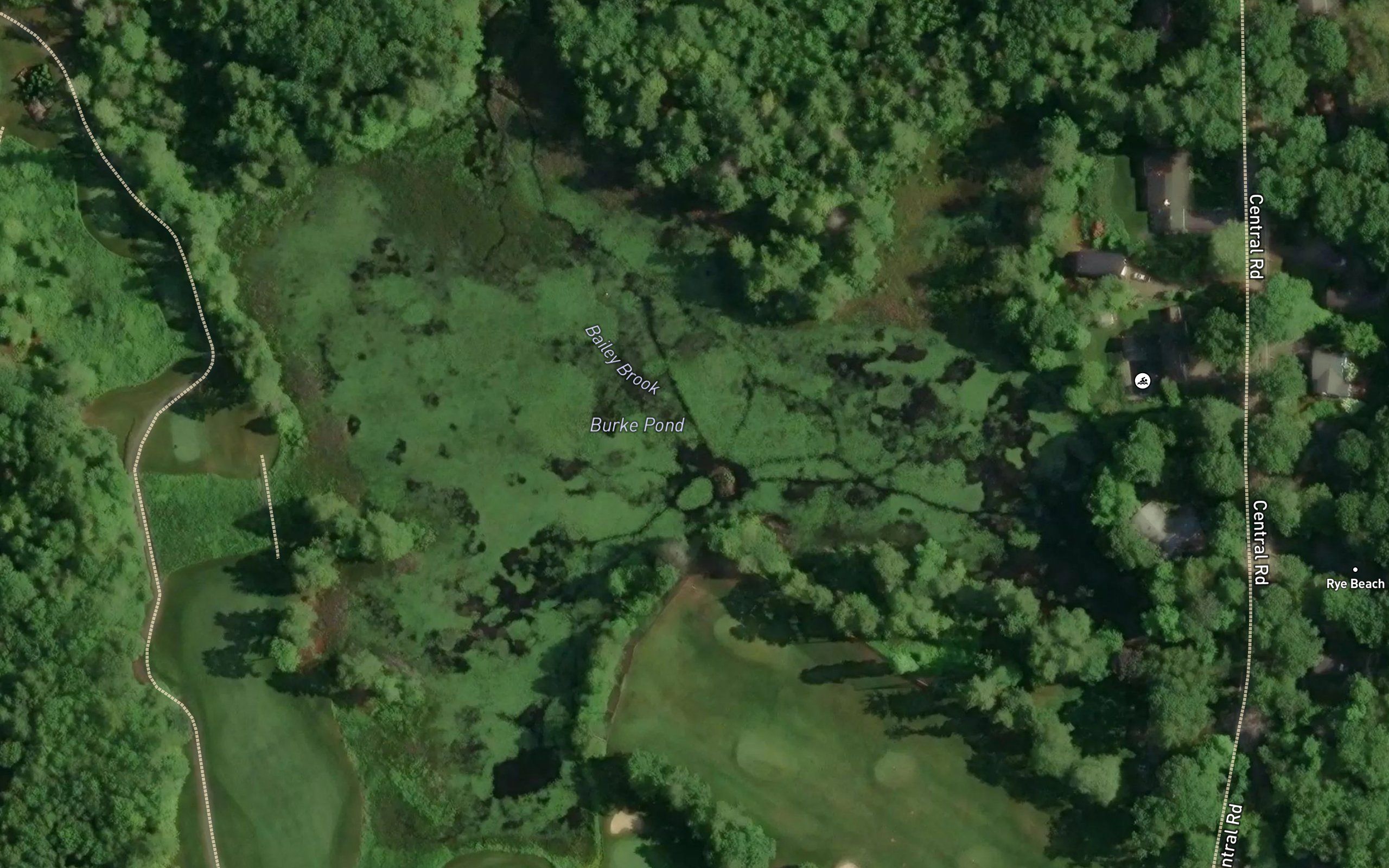 Burke Pond