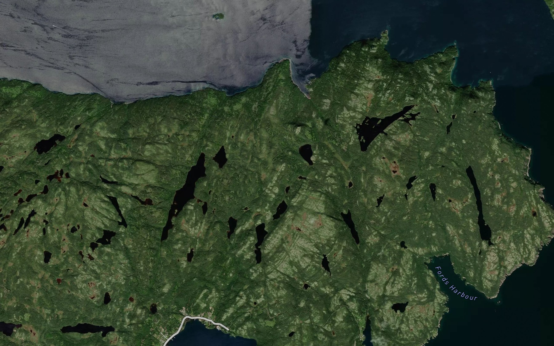 Satellite map of the Black Duck Pond
