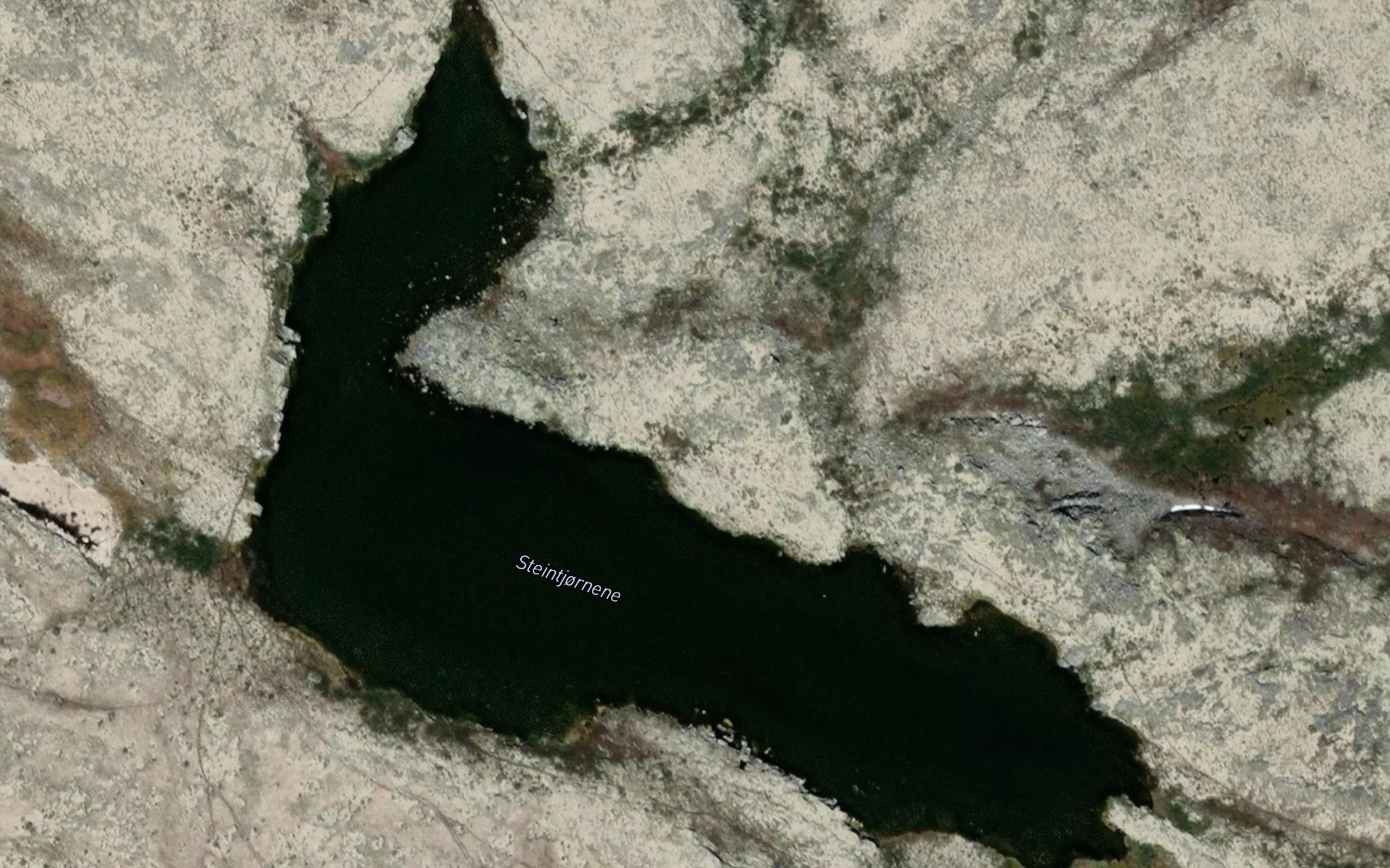 Steintjornene