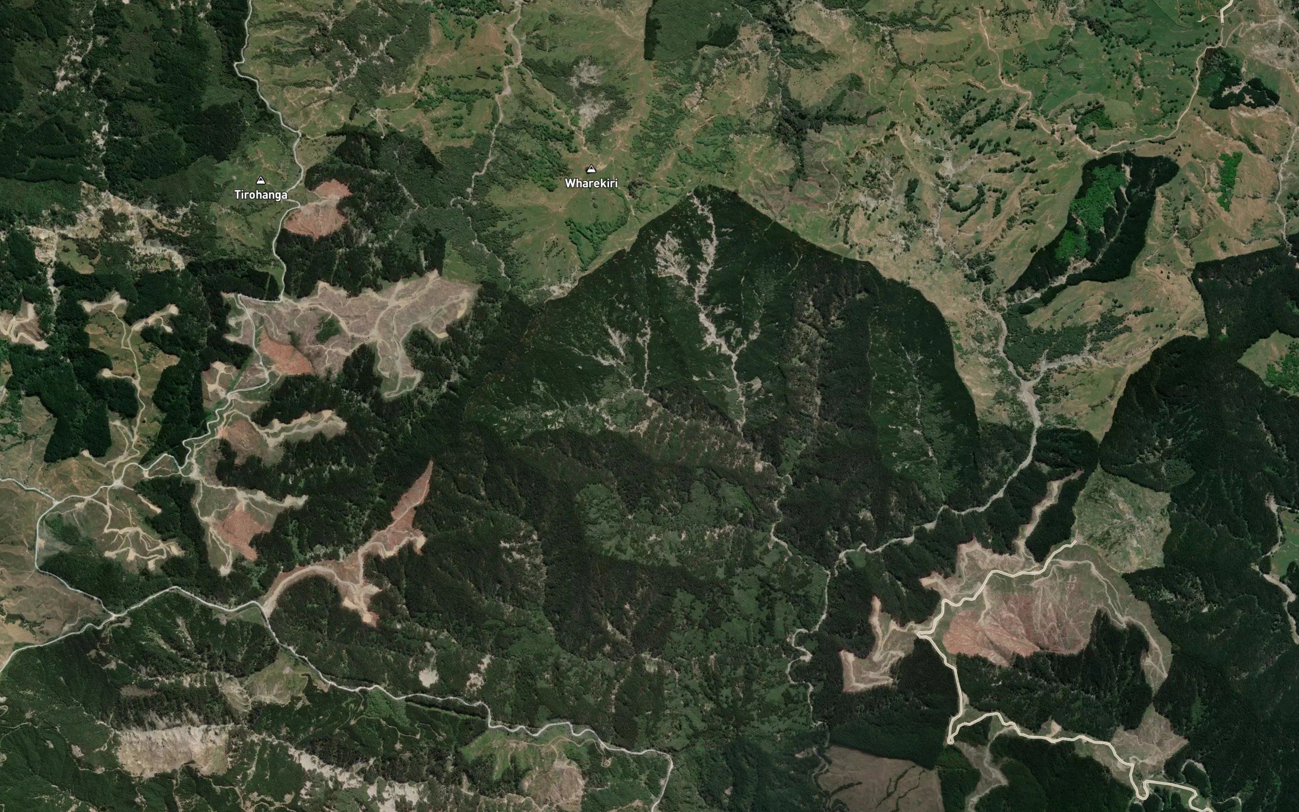 Taumutu Stream