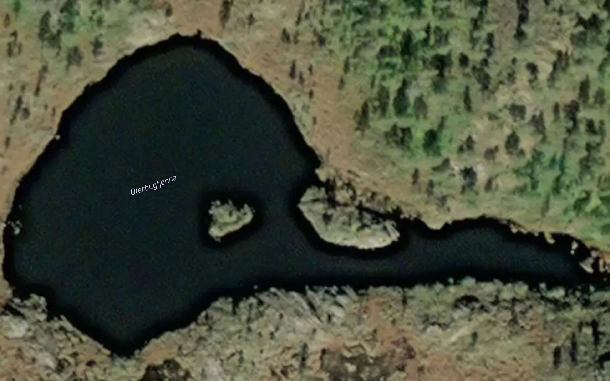 Oterbugtjonna