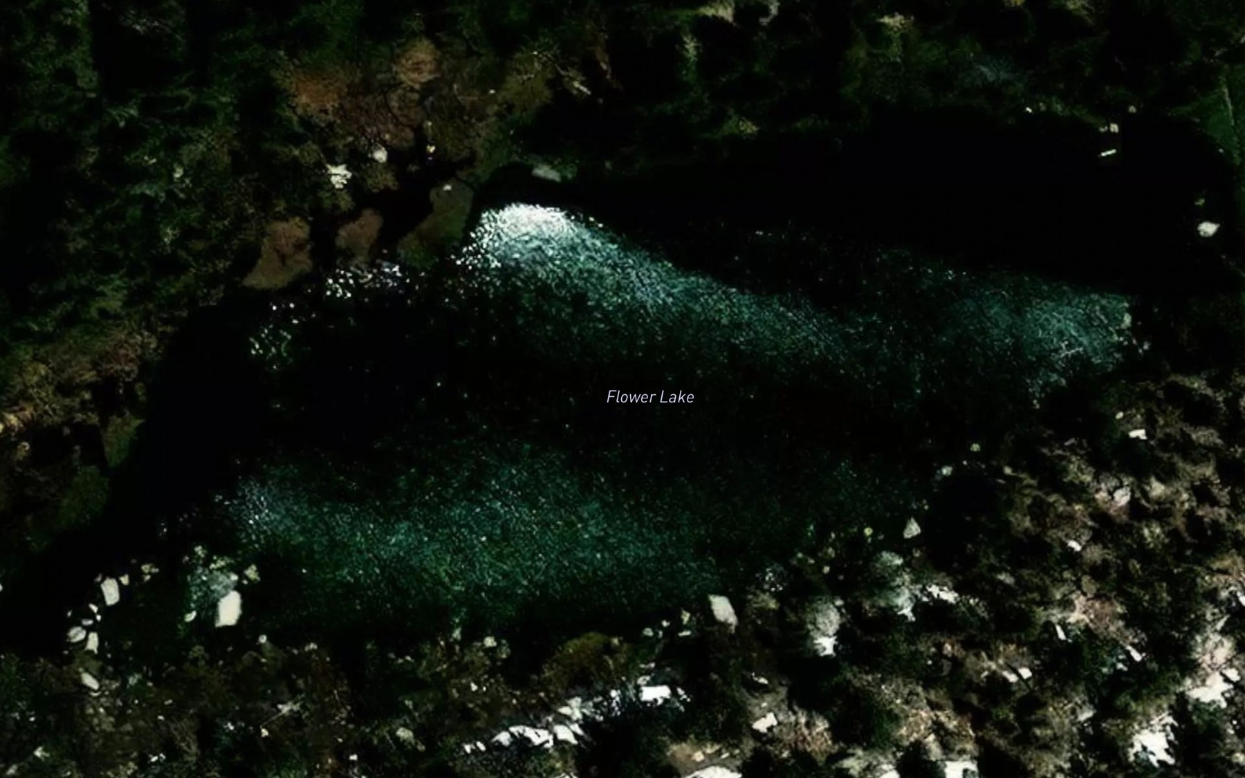 Satellite map of the Flower Lake