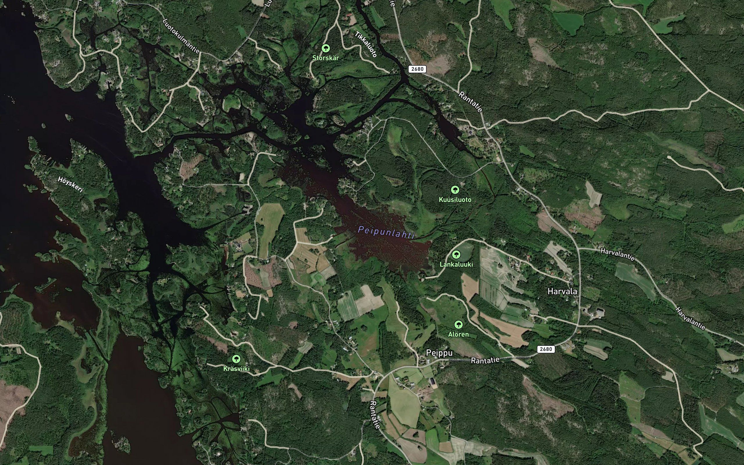 Peipunlahti