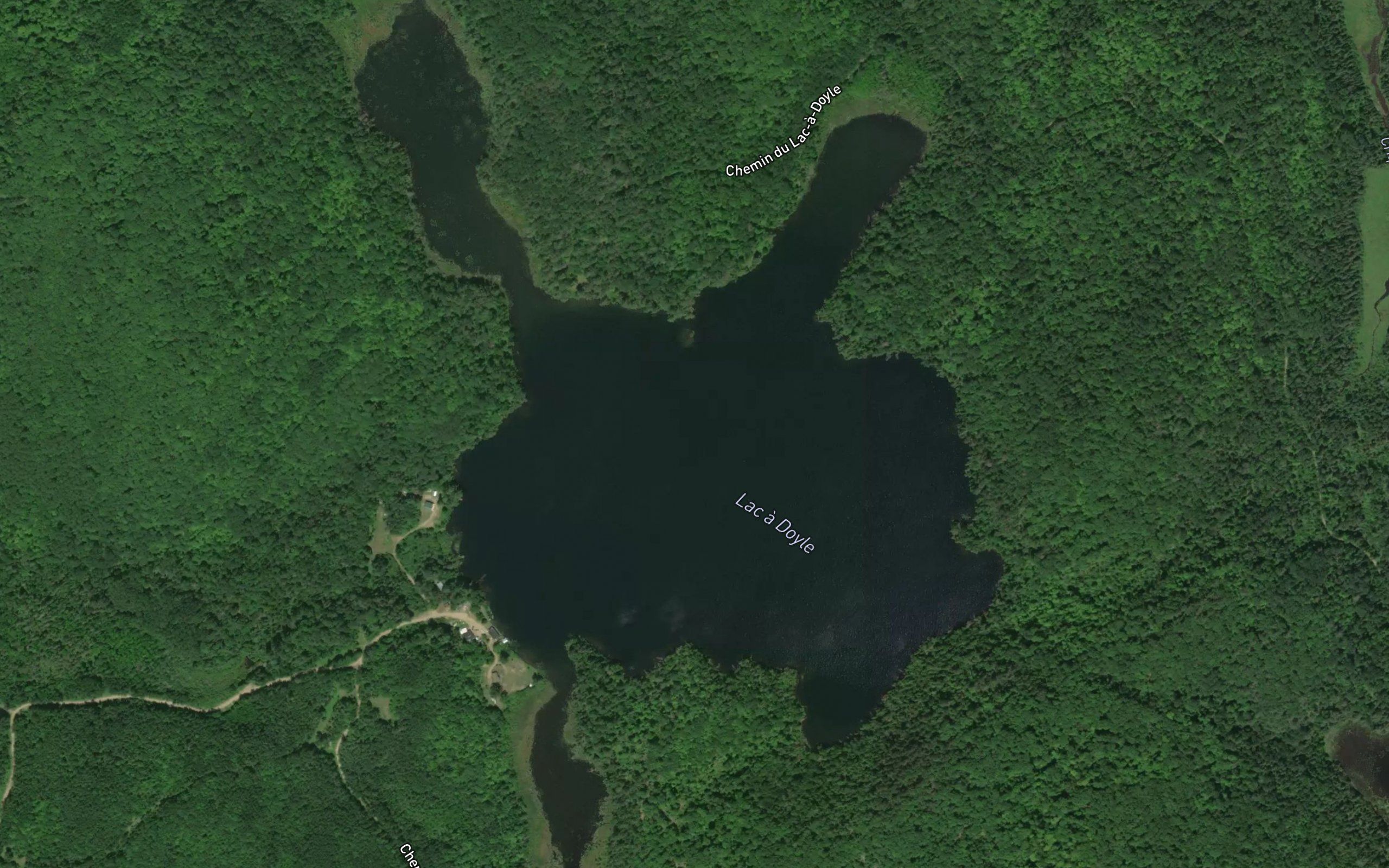 Lac a Doyle