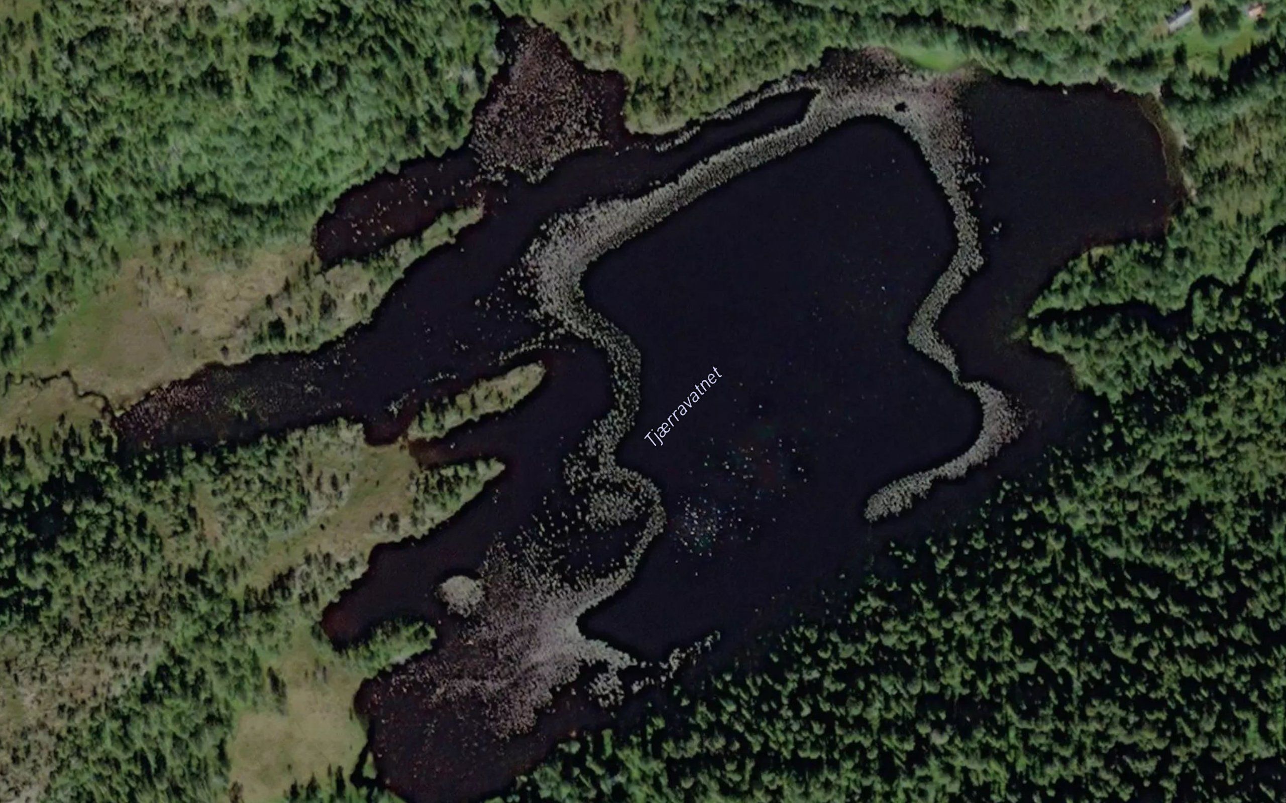 Tjorevatnet