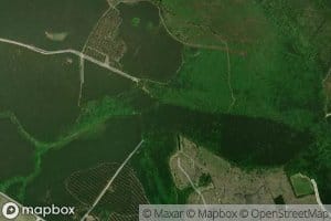 Ditch Branch