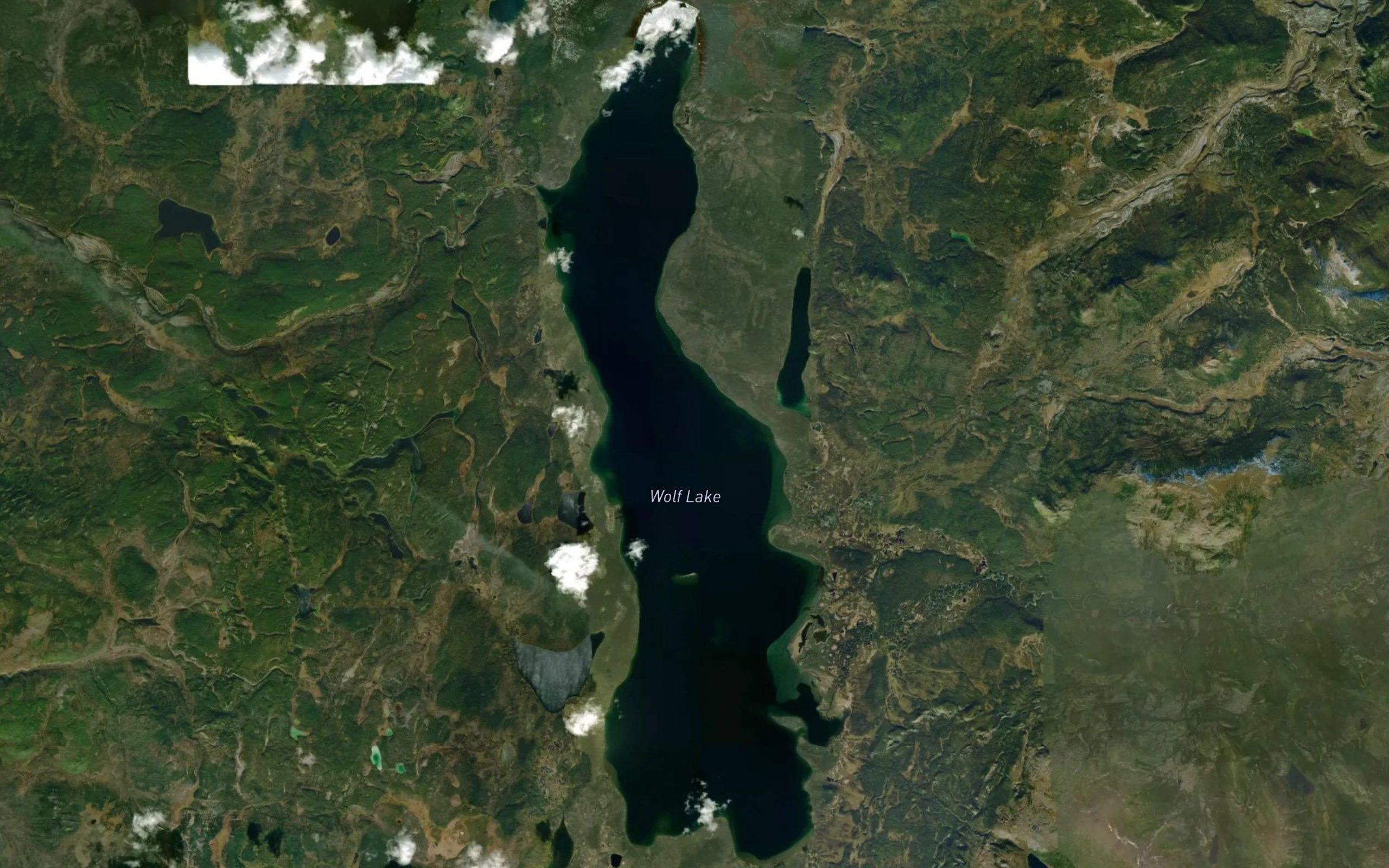 Wolf Lake