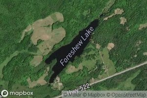 Foreshew Lake