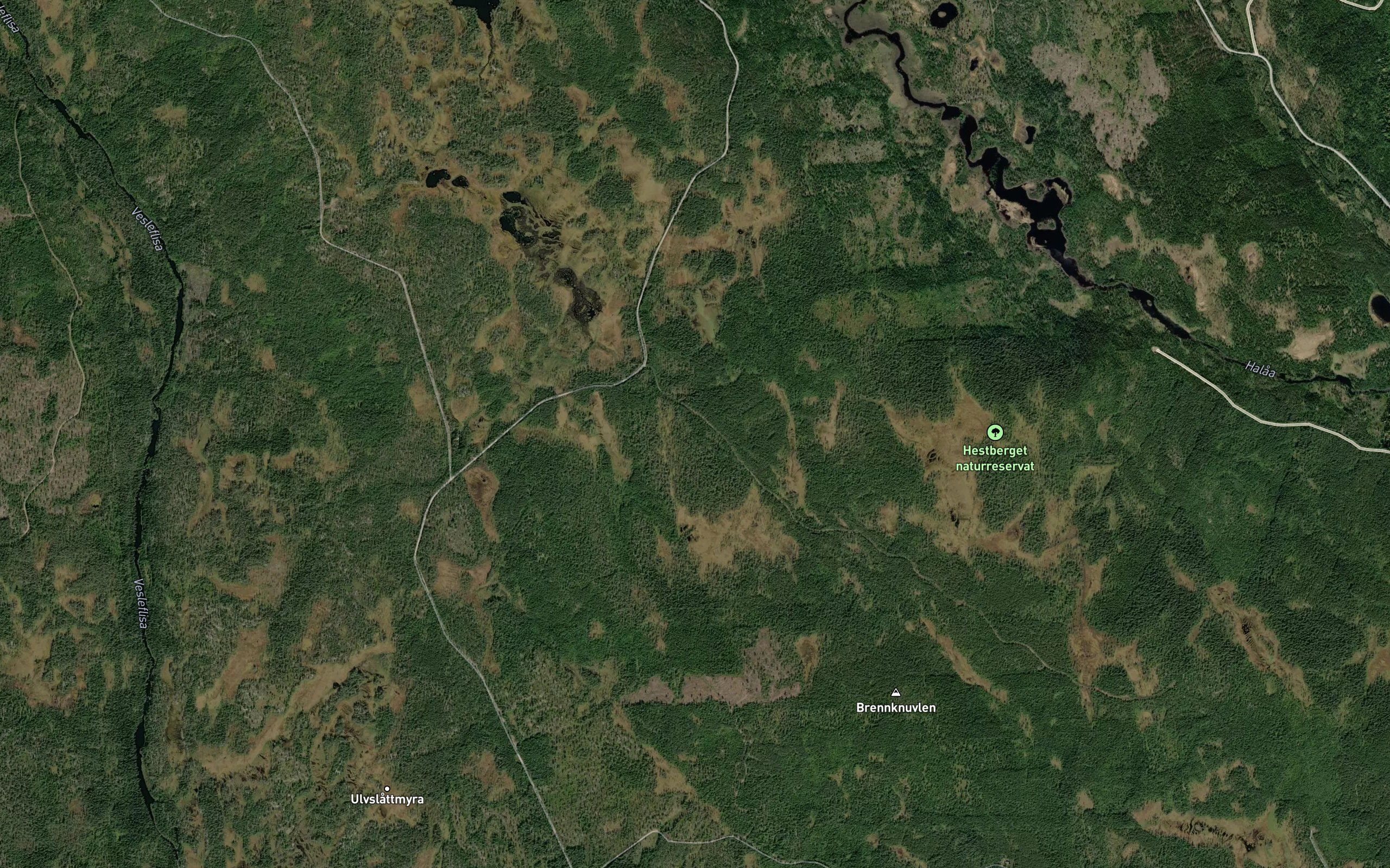 Grabergskoiebekken