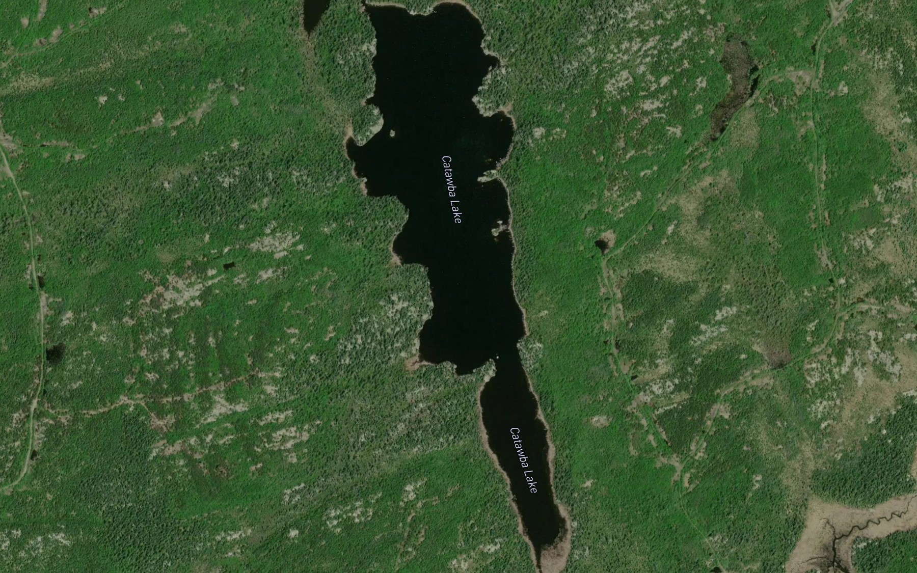 Satellite map of the Catawba Lake