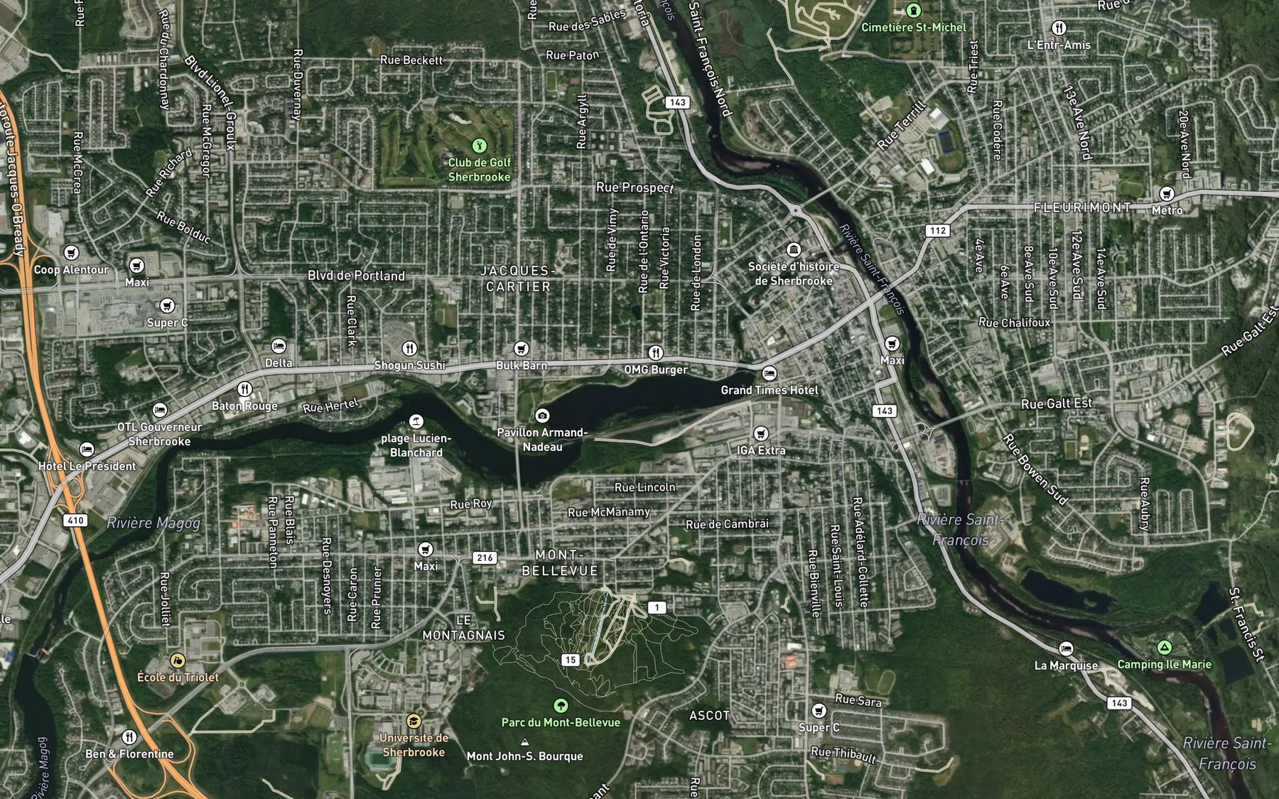 Satellite map of the Lac des Nations
