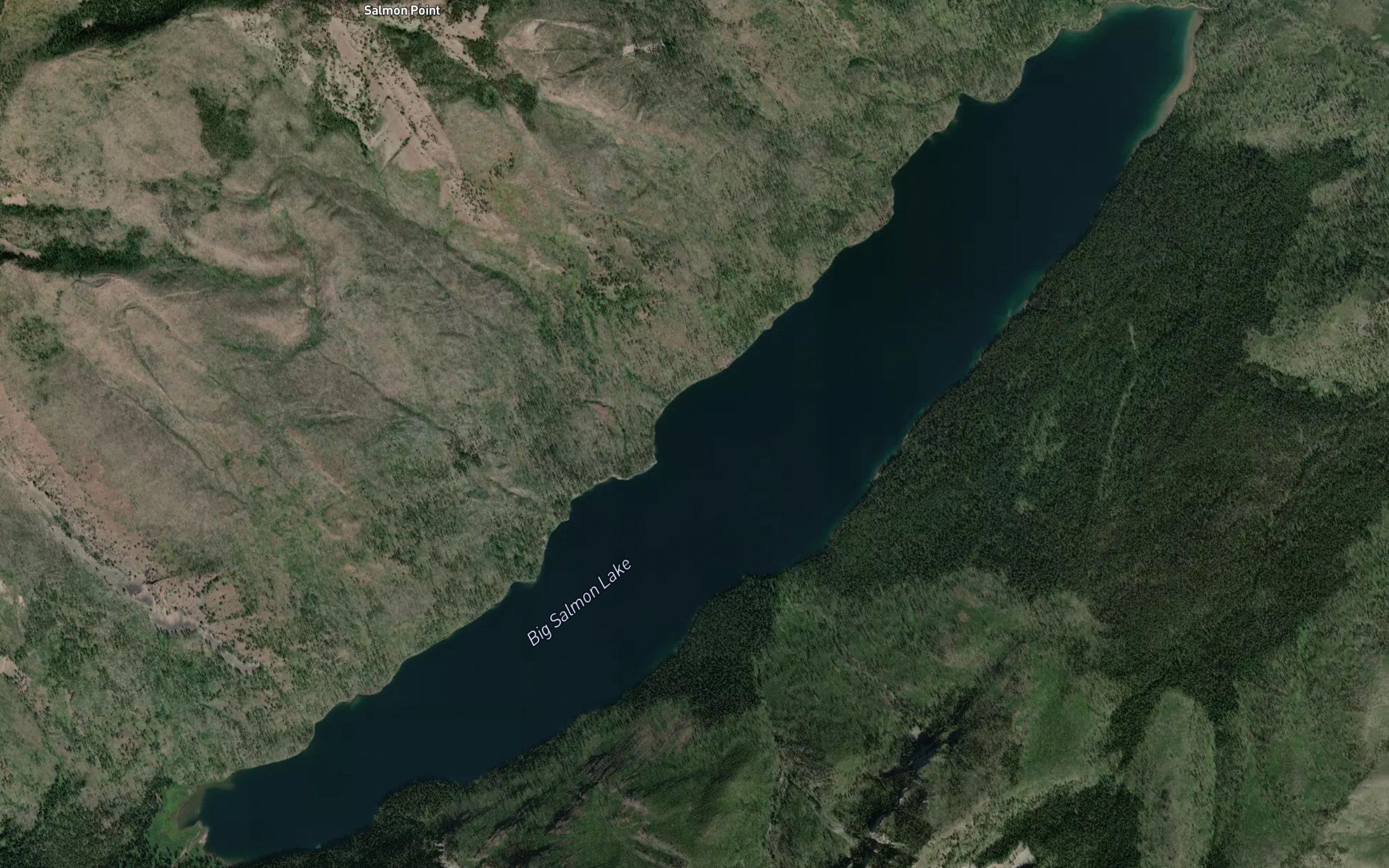 Big Salmon Lake