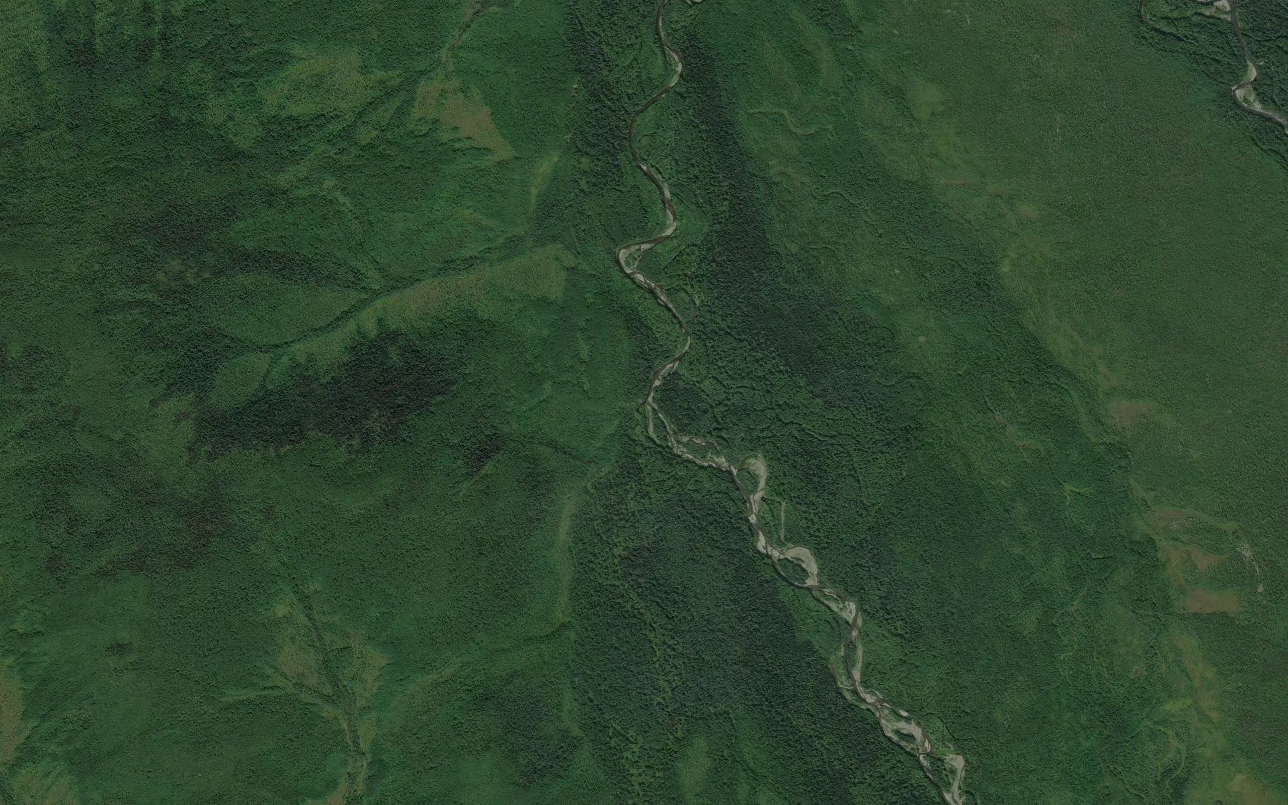 Dzhyukoty