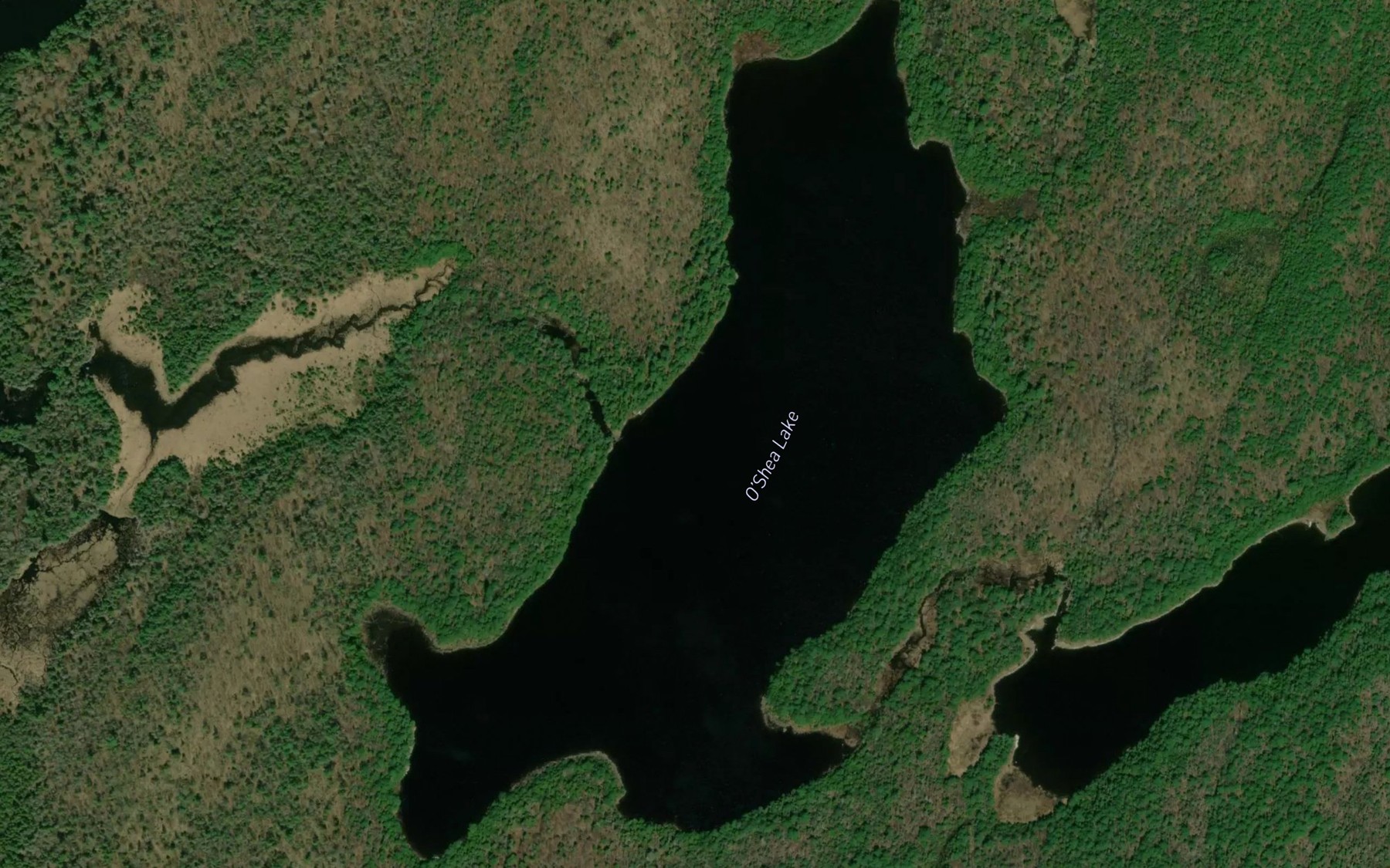 Satellite map of the O'Shea Lake