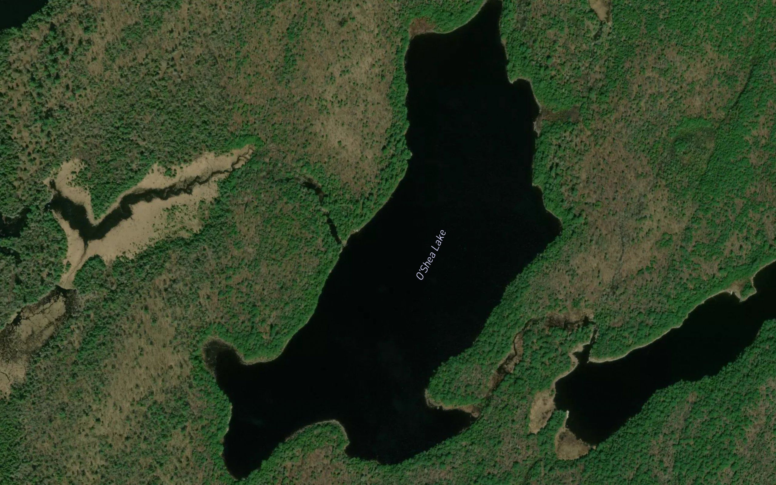 O'Shea Lake