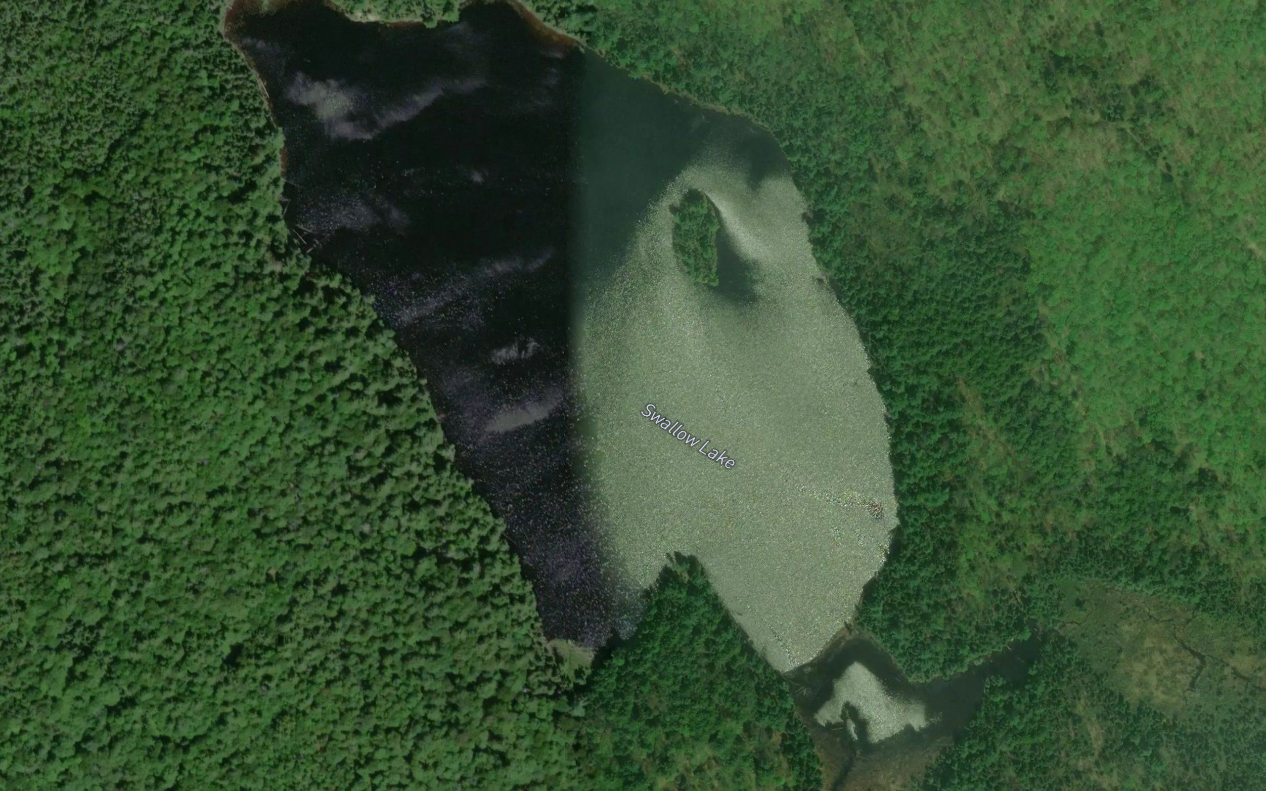 Swallow Lake