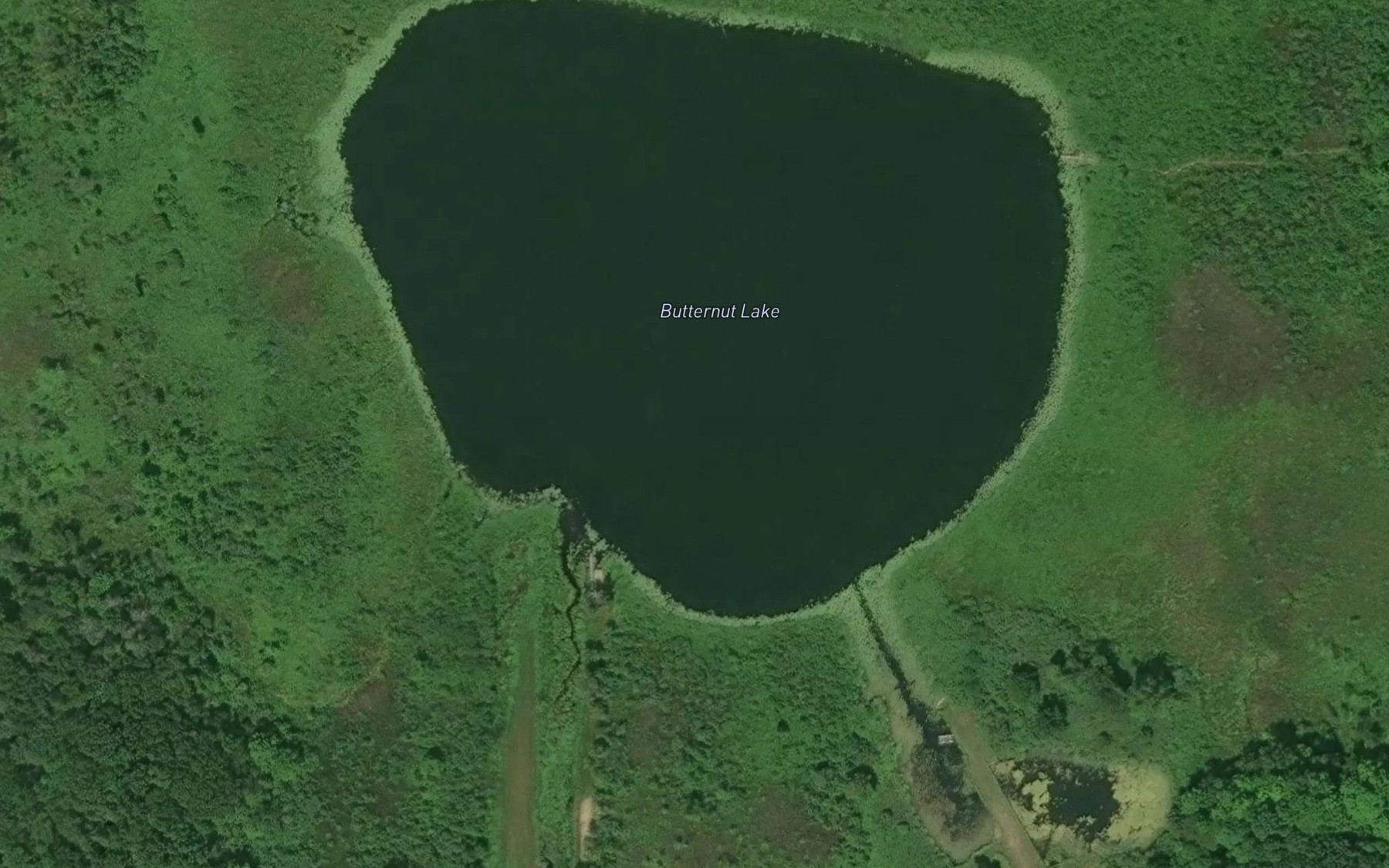 Satellite map of the Butternut Lake
