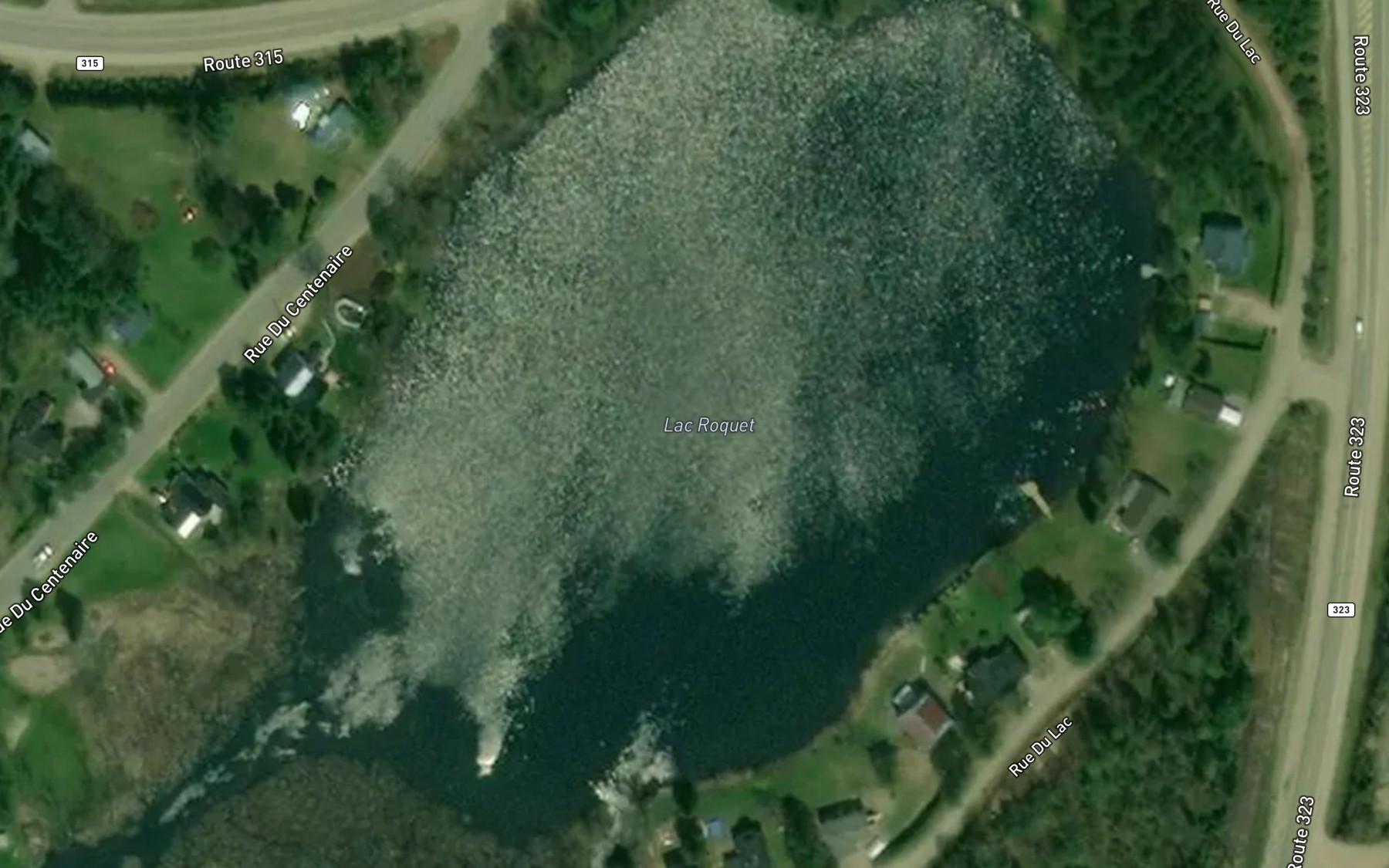 Satellite map of the Lac Roquet