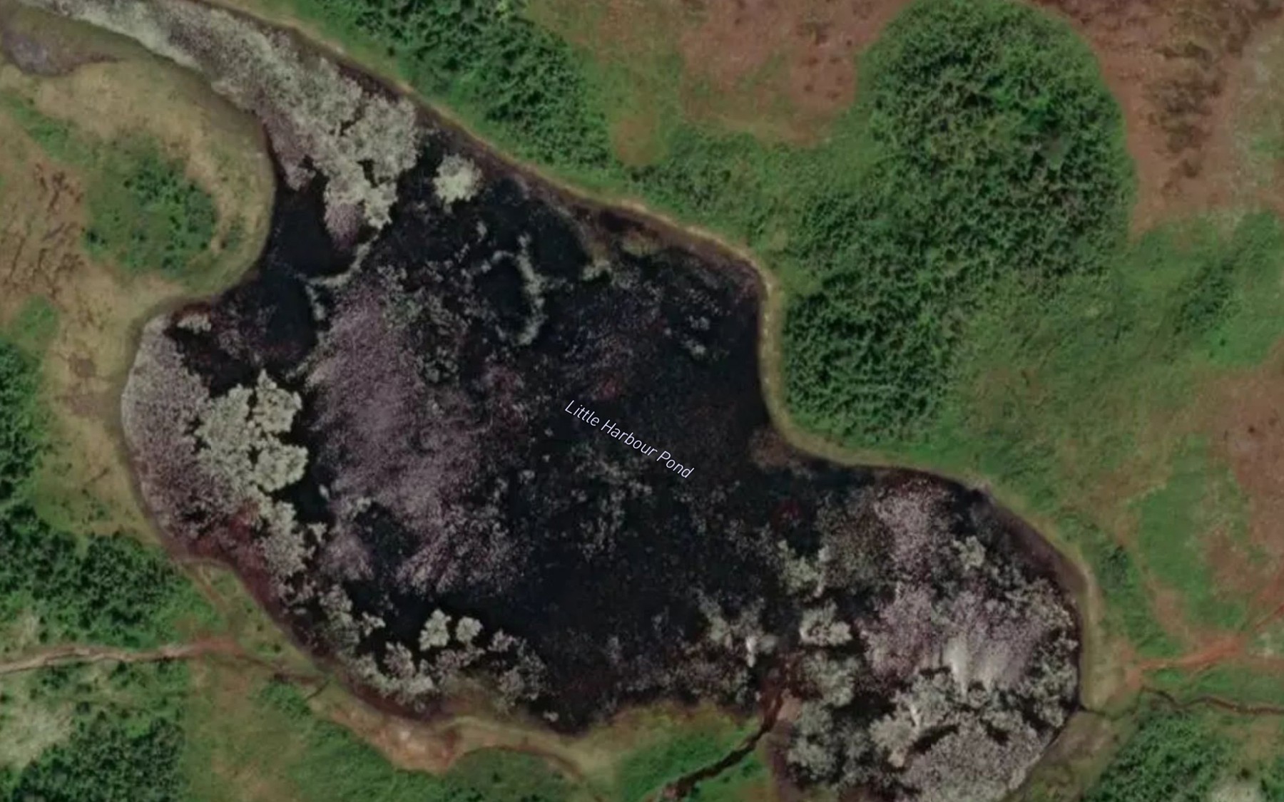 Satellite map of the Little Harbour Pond