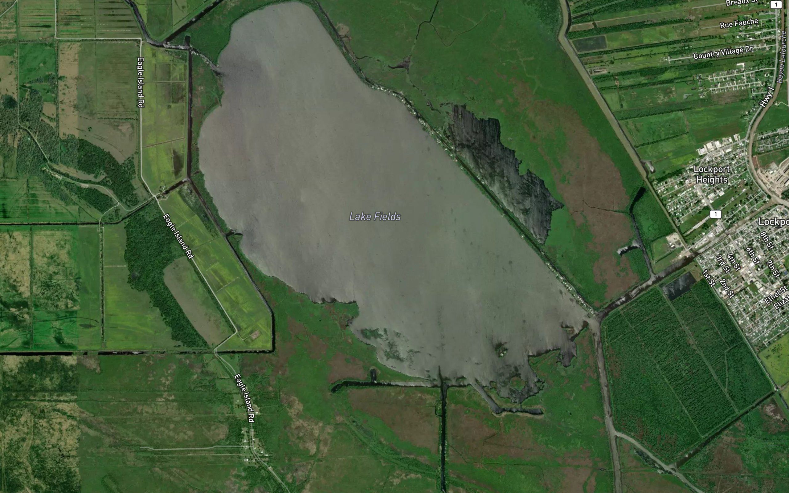 Lake Fields