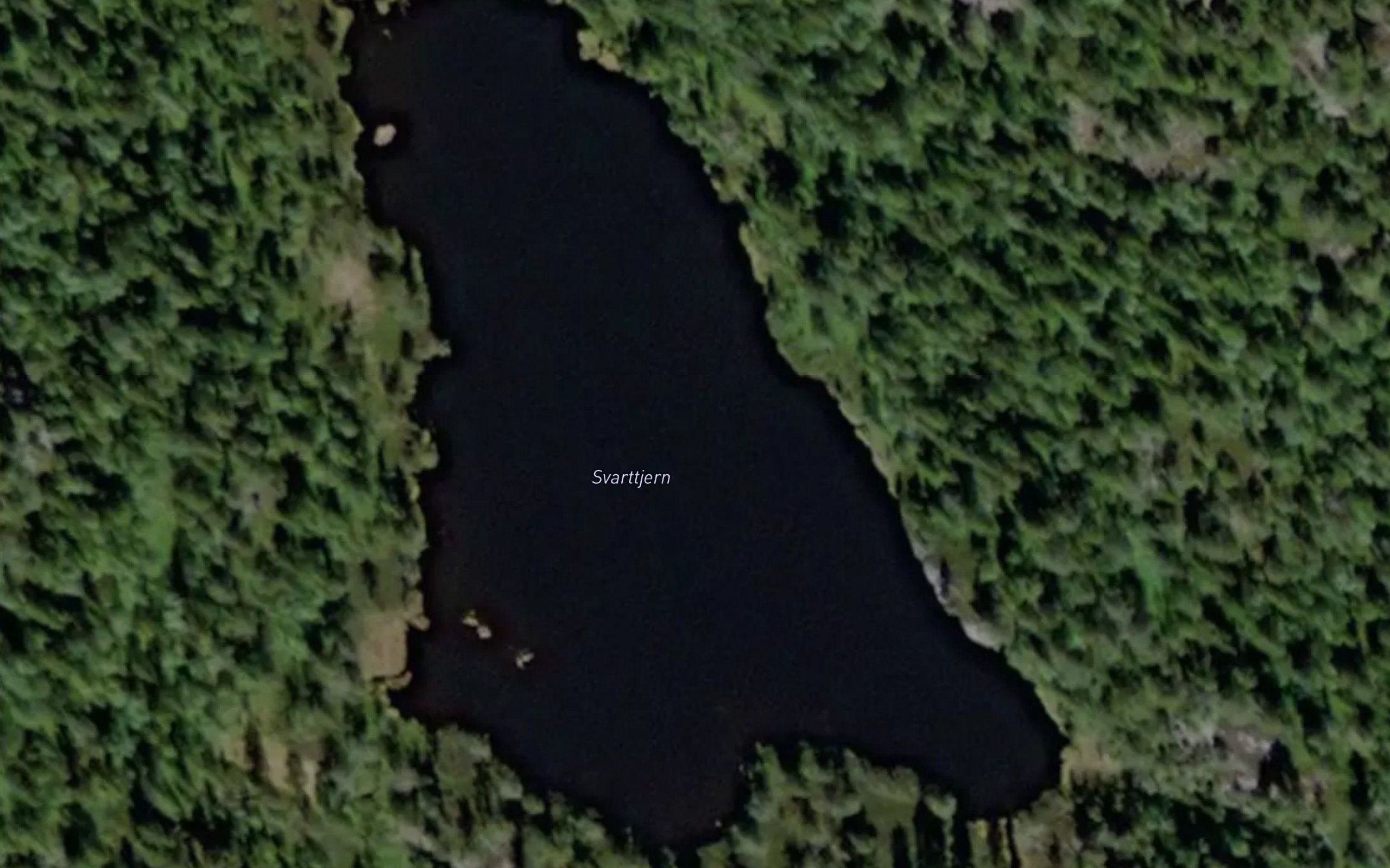 Svarttjern