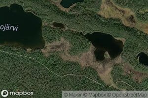 Pajuluomat