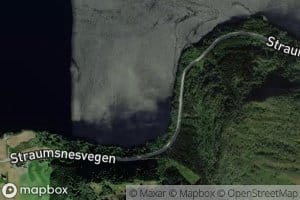 Sylvsteinvika