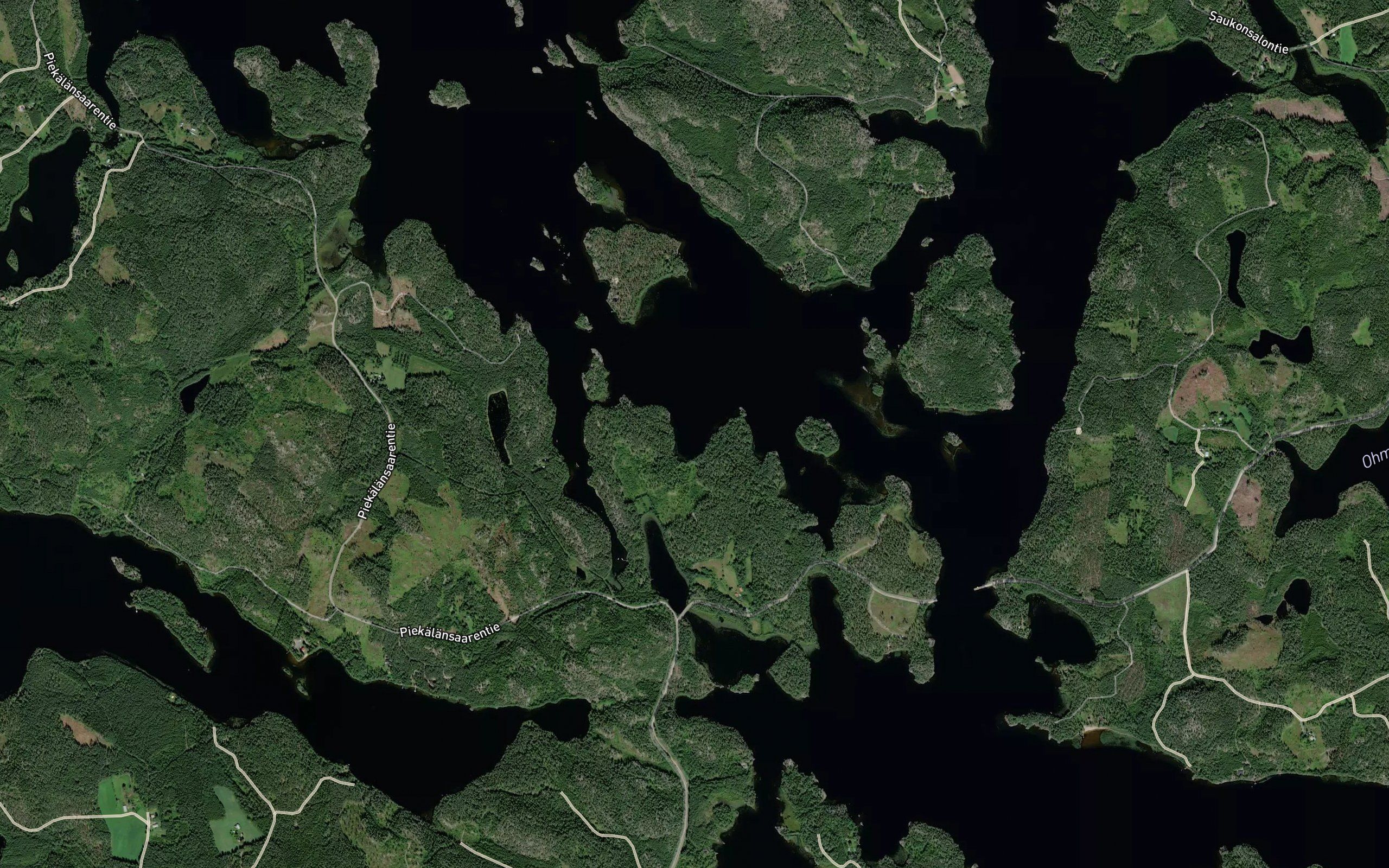 Koivukaarteenlahti