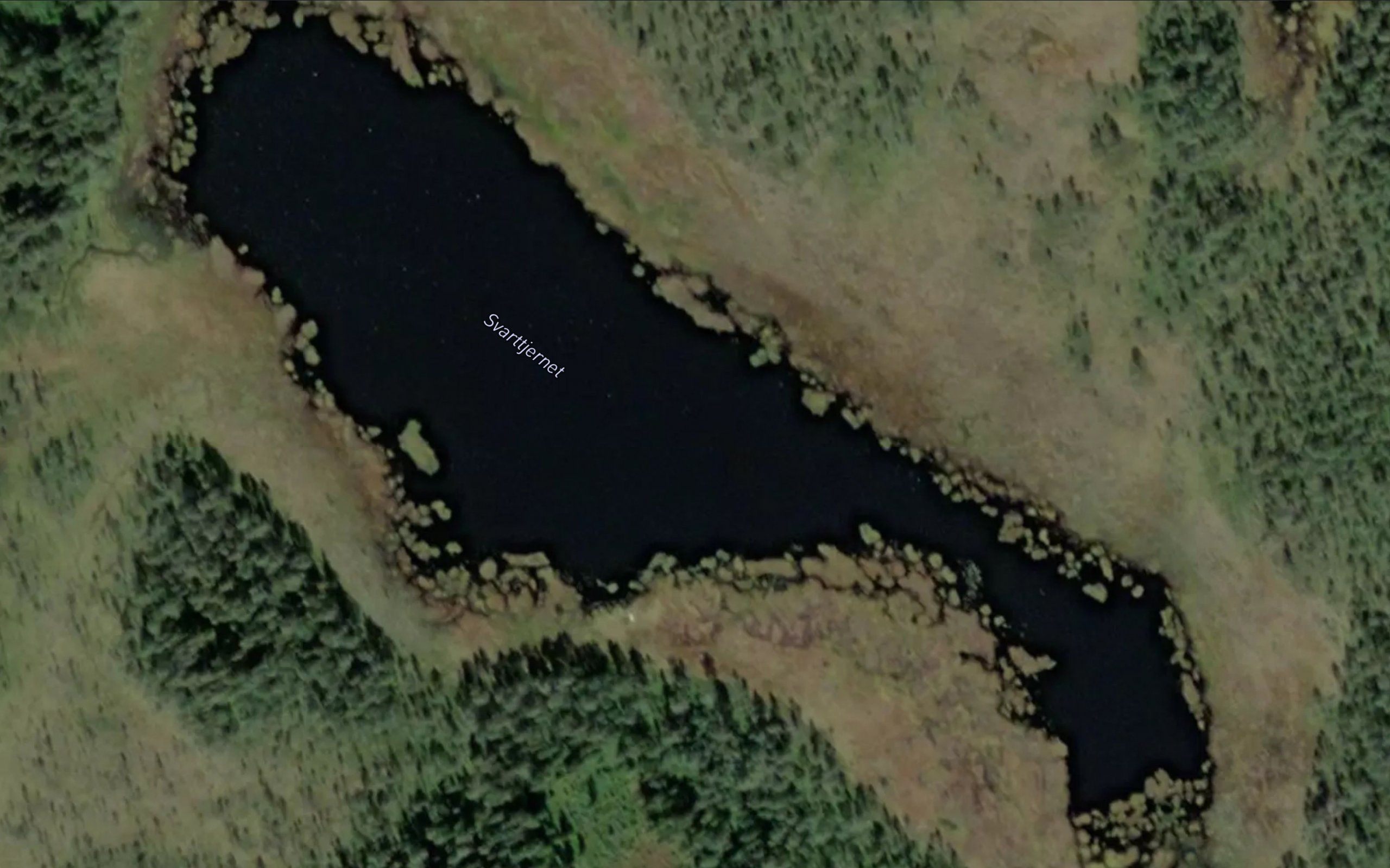 Svarttjernet