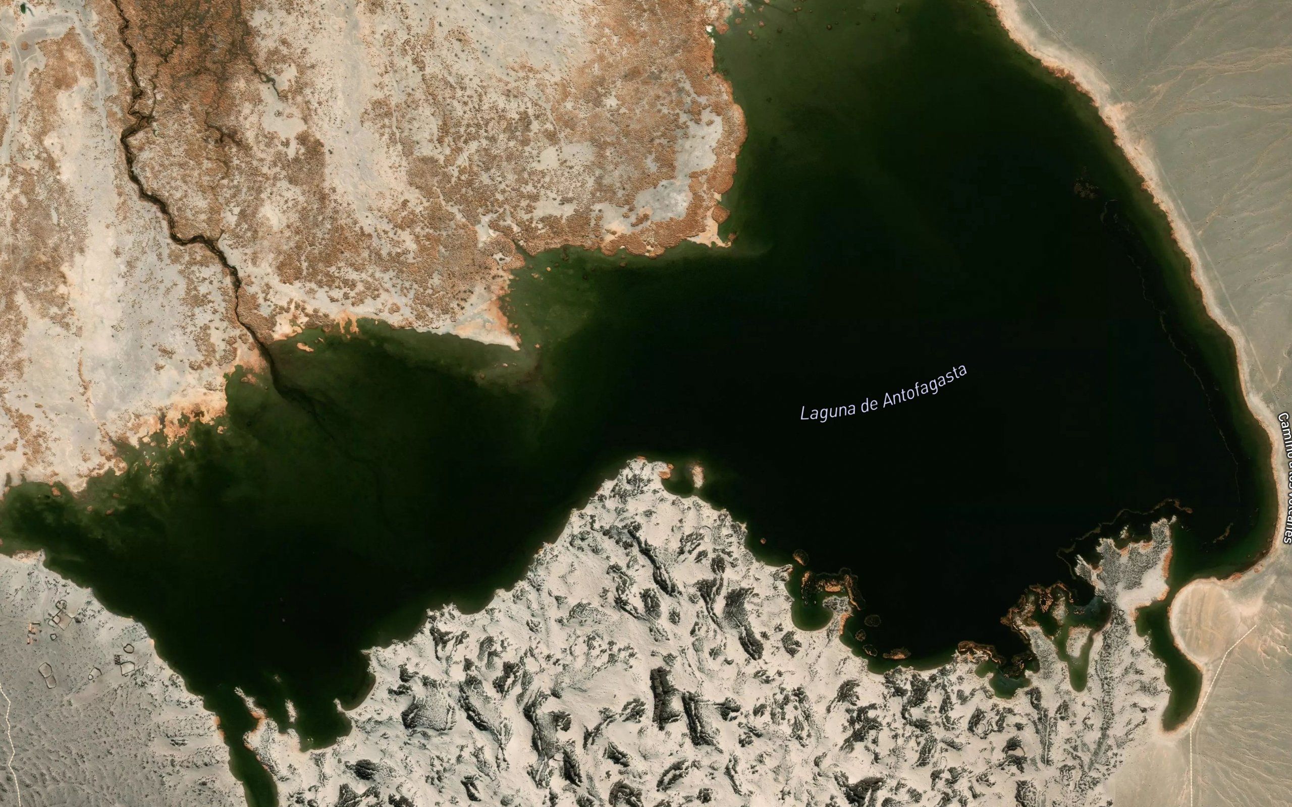 Laguna de Antofagasta