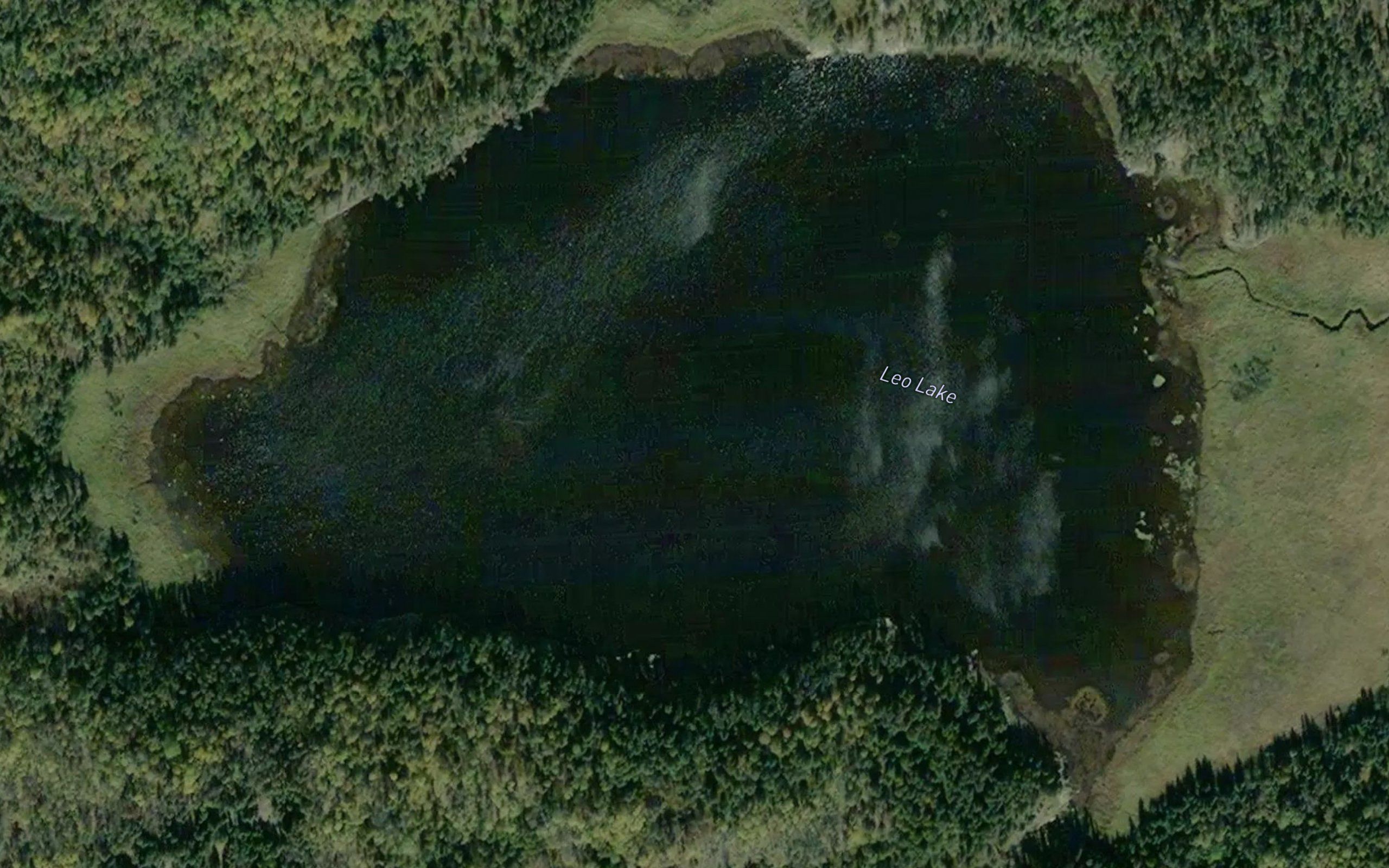 Leo Lake