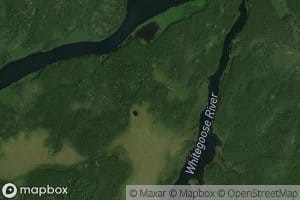 Riviere Whitegoose