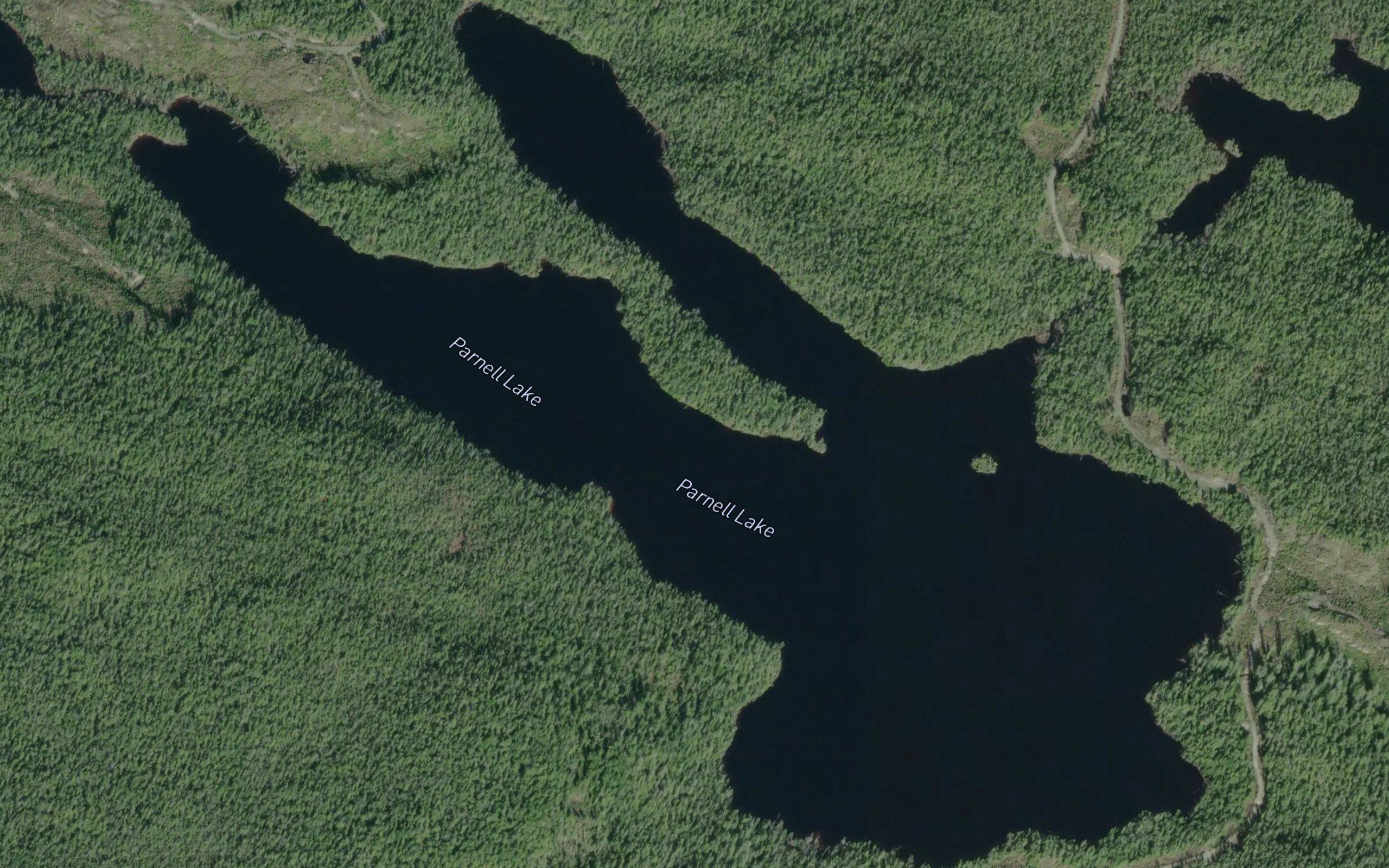 Parnell Lake