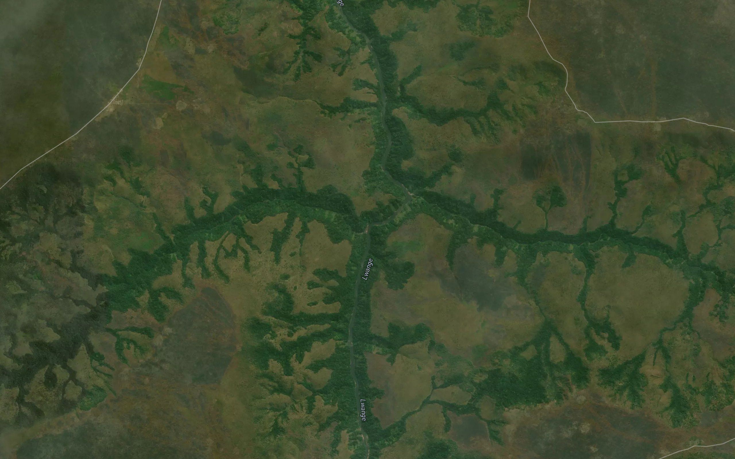 Tshitambi