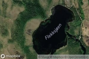 Flekksjoen