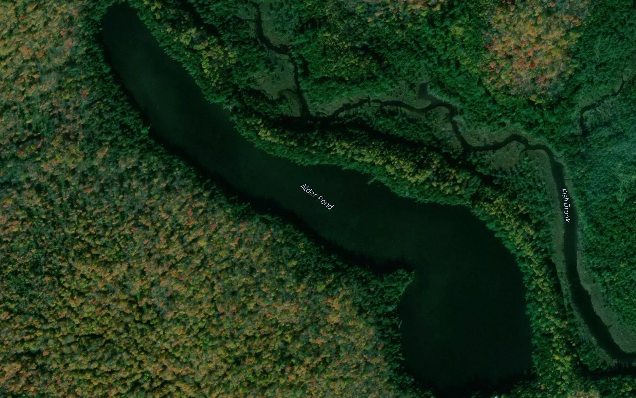 Alder Pond