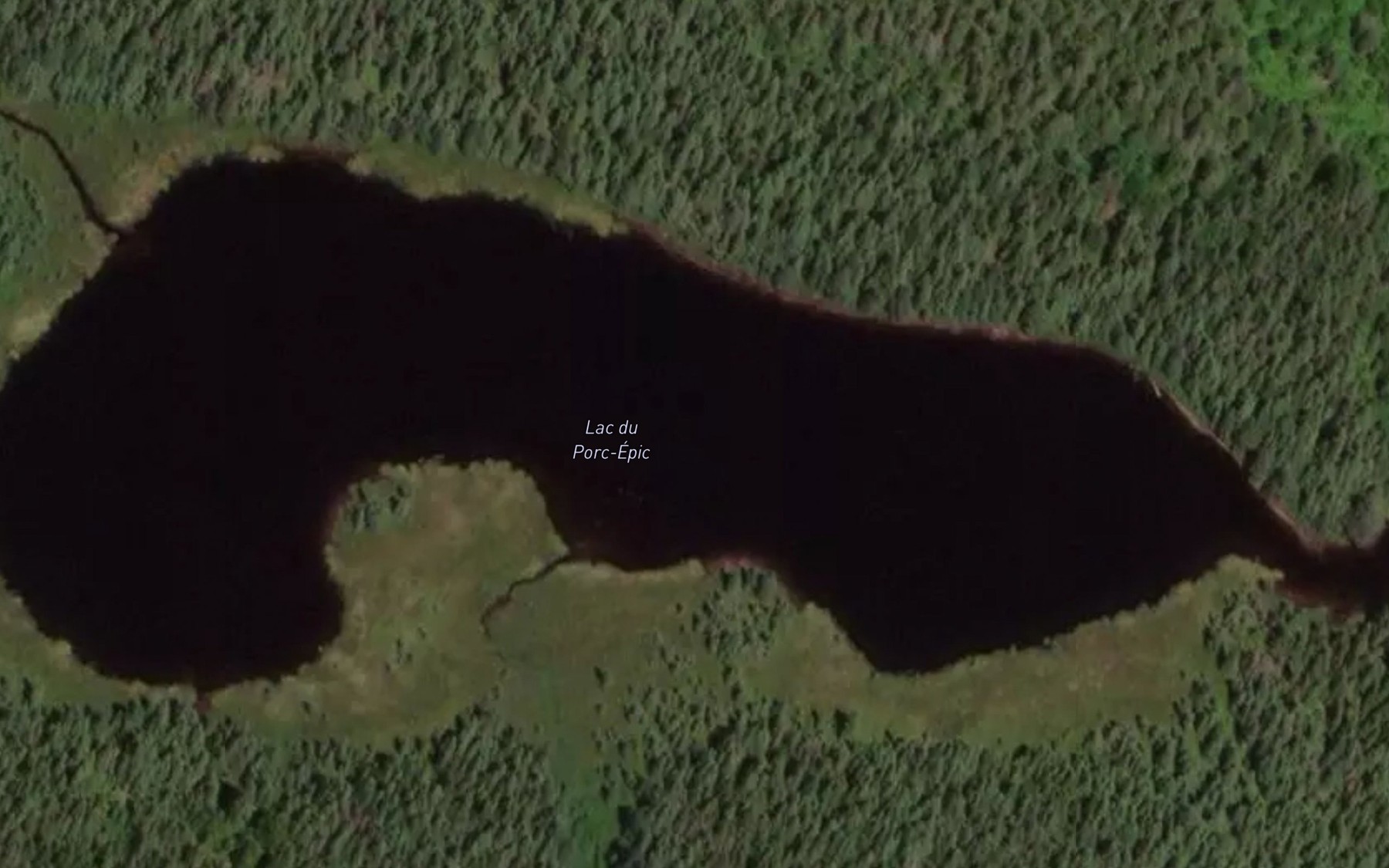 Satellite map of the Lac du Porc-Epic
