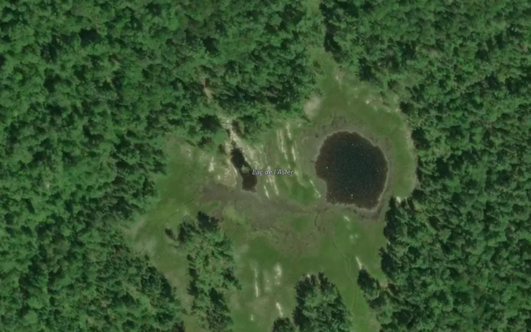 Satellite map of the Lac de l'Aster