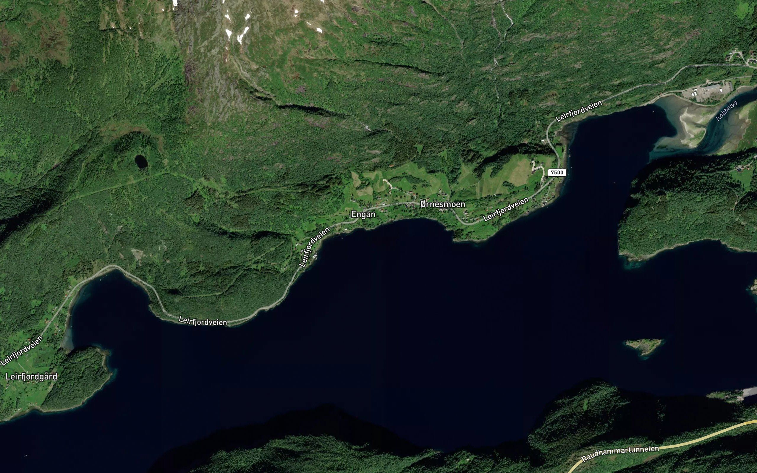 Skyttvika