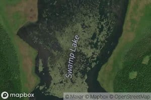 Swamp Lake