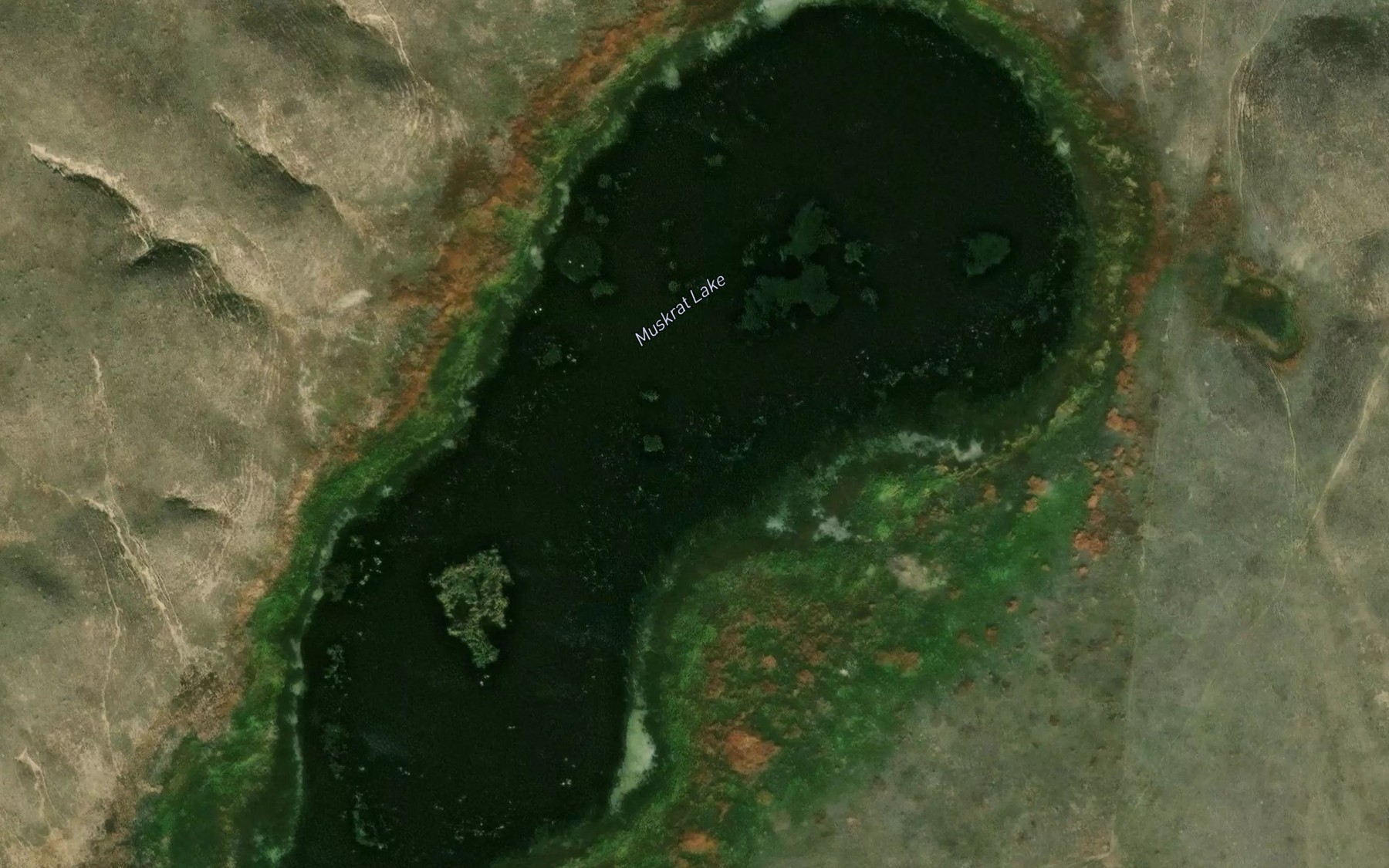 Satellite map of the Muskrat Lake