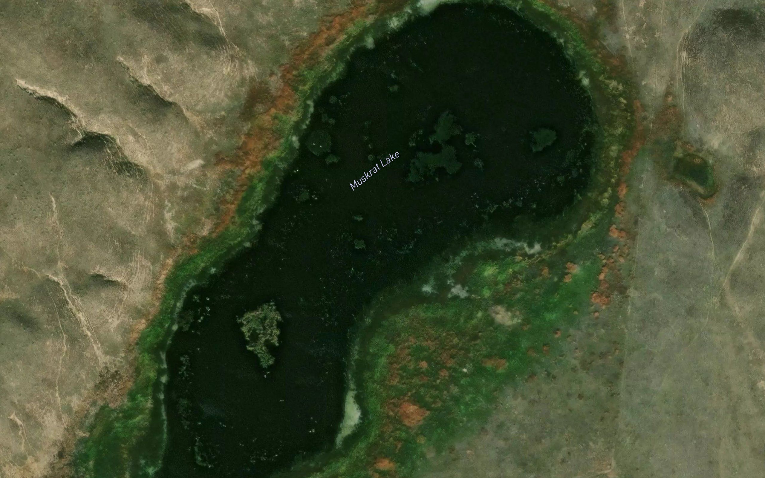Muskrat Lake