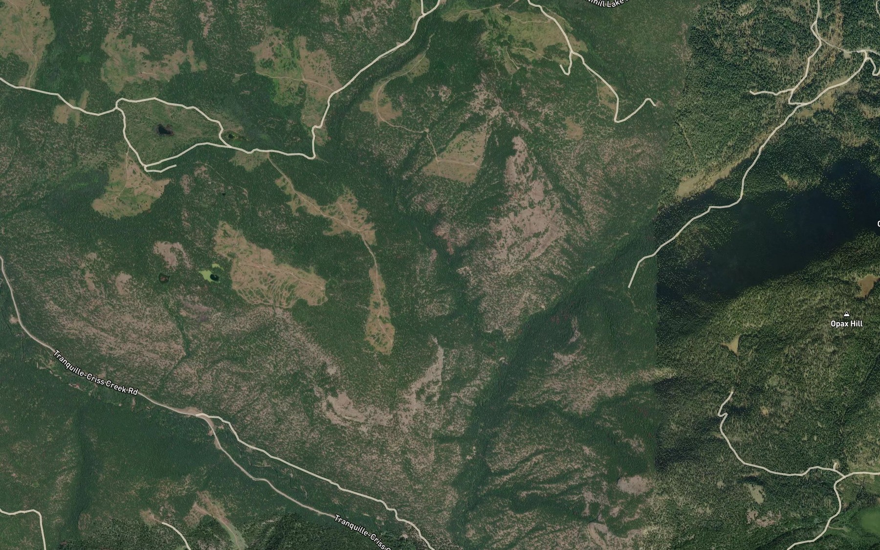 Satellite map of the Cannell Creek