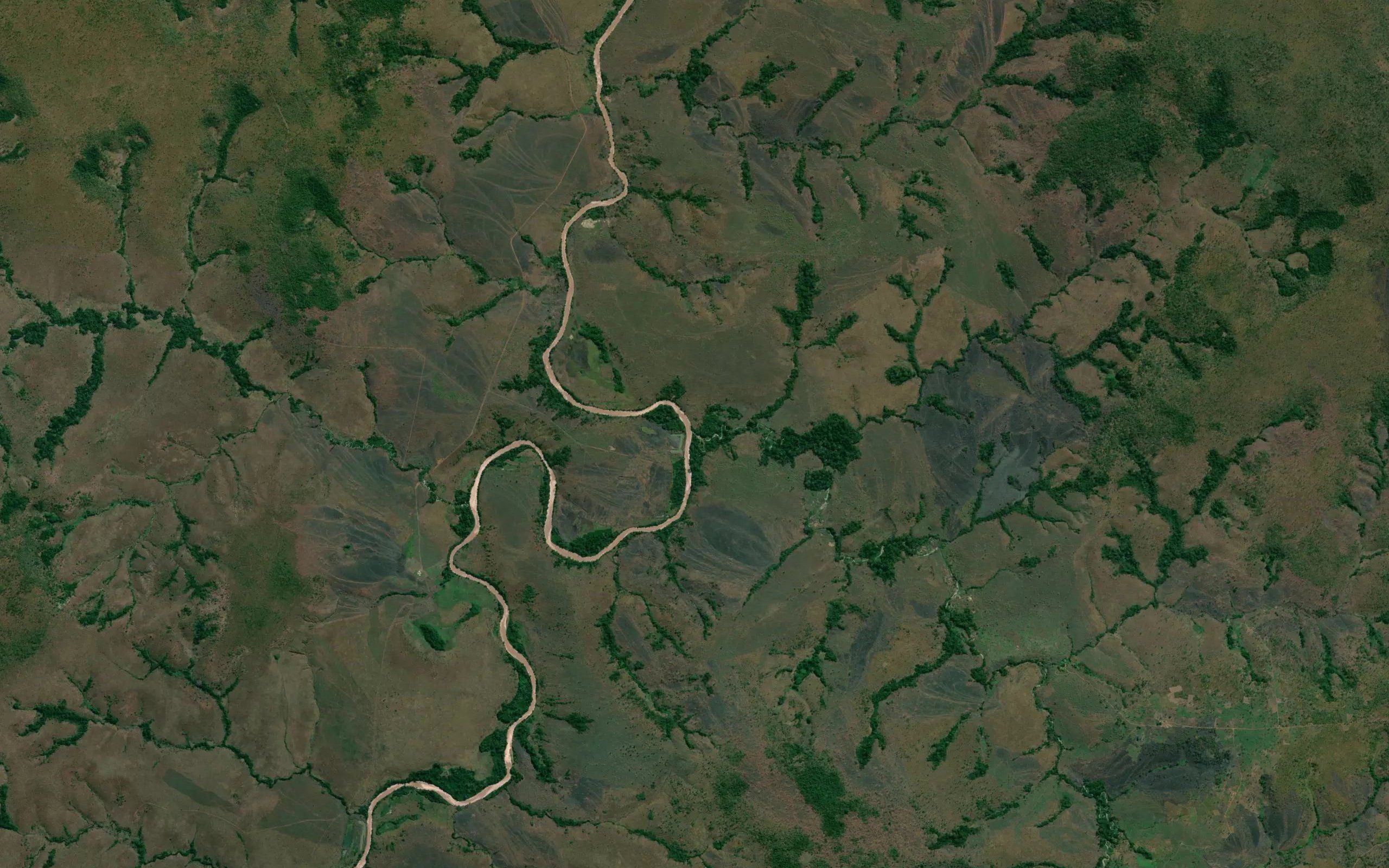 Ngambo